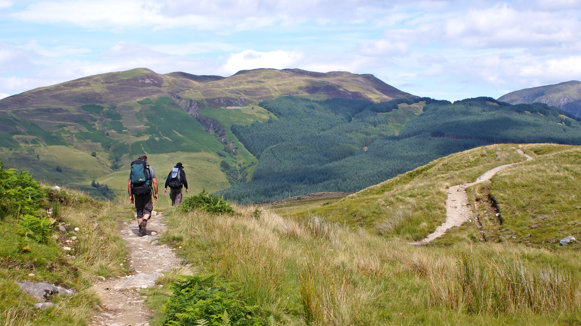 shutterstock_151995053-1665752944