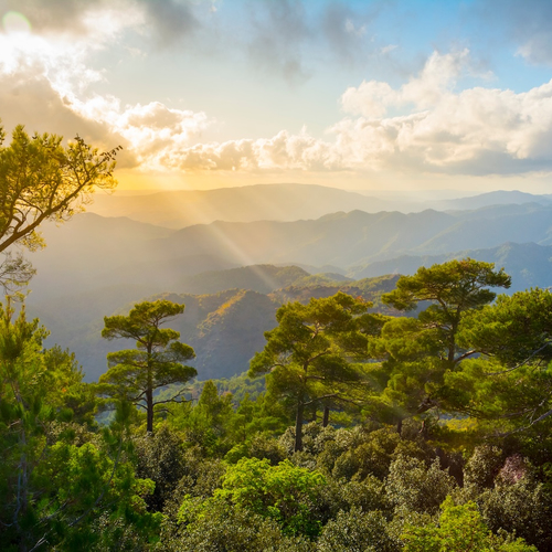 Hiken in Cyprus: De beste trails van het ongerepte Troödosgebergte