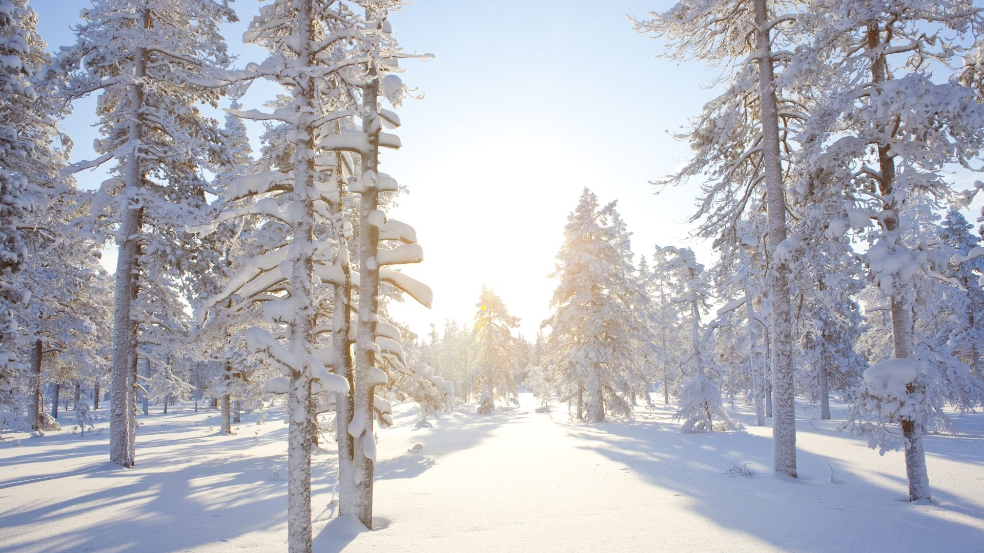 8db2fcd7-b29d-49ea-baf9-176619b99643-1605102390