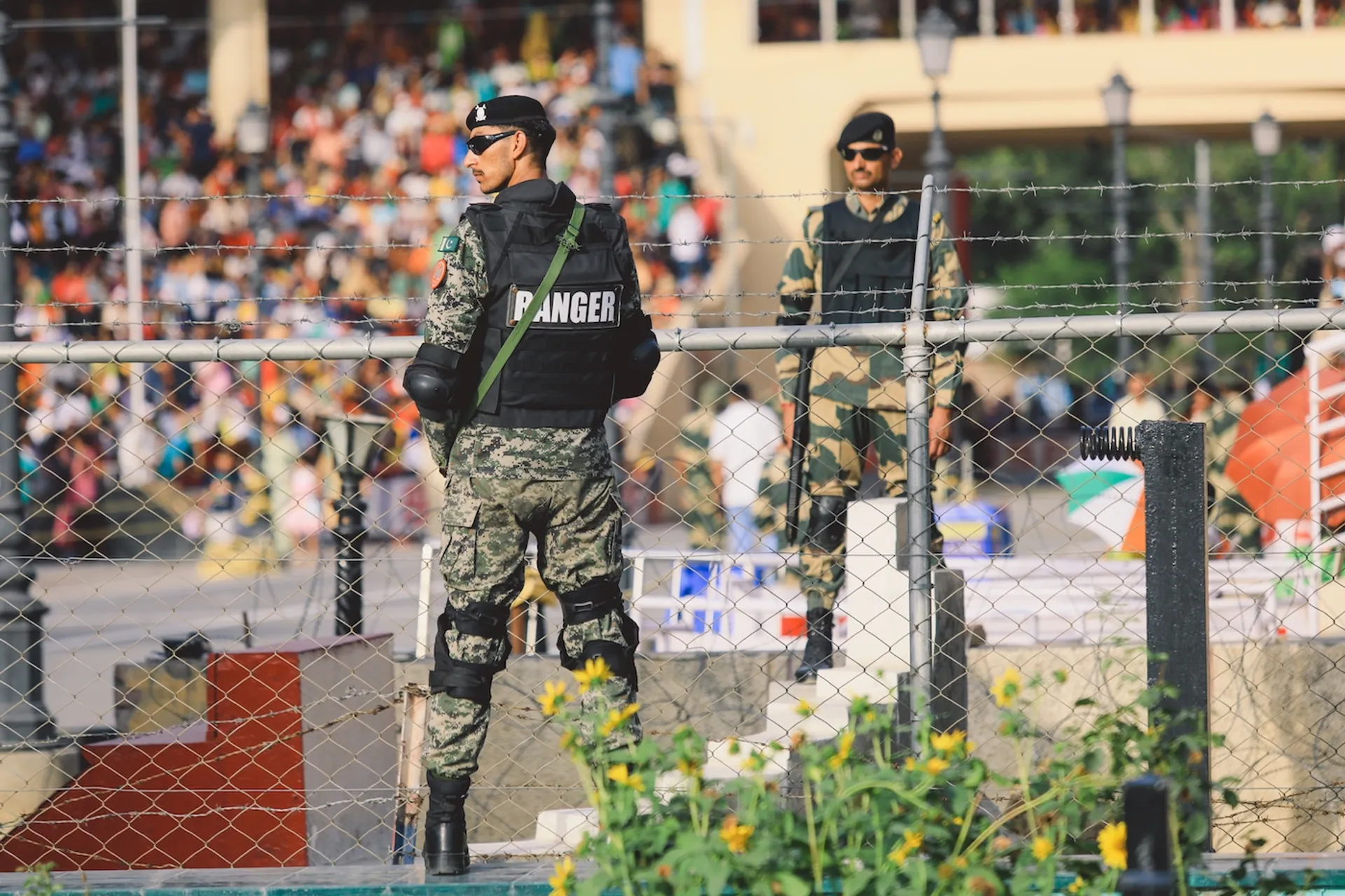 Dave_Primov-1674227154