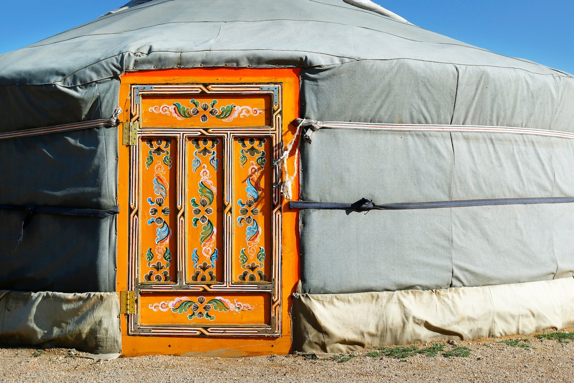 shutterstock_1157874520-1740666934