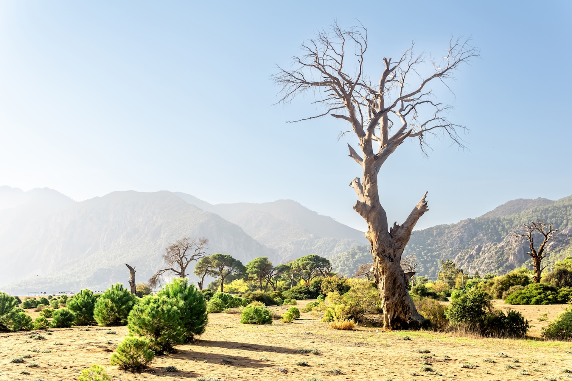 Evgeny_Haritonov-1731326426