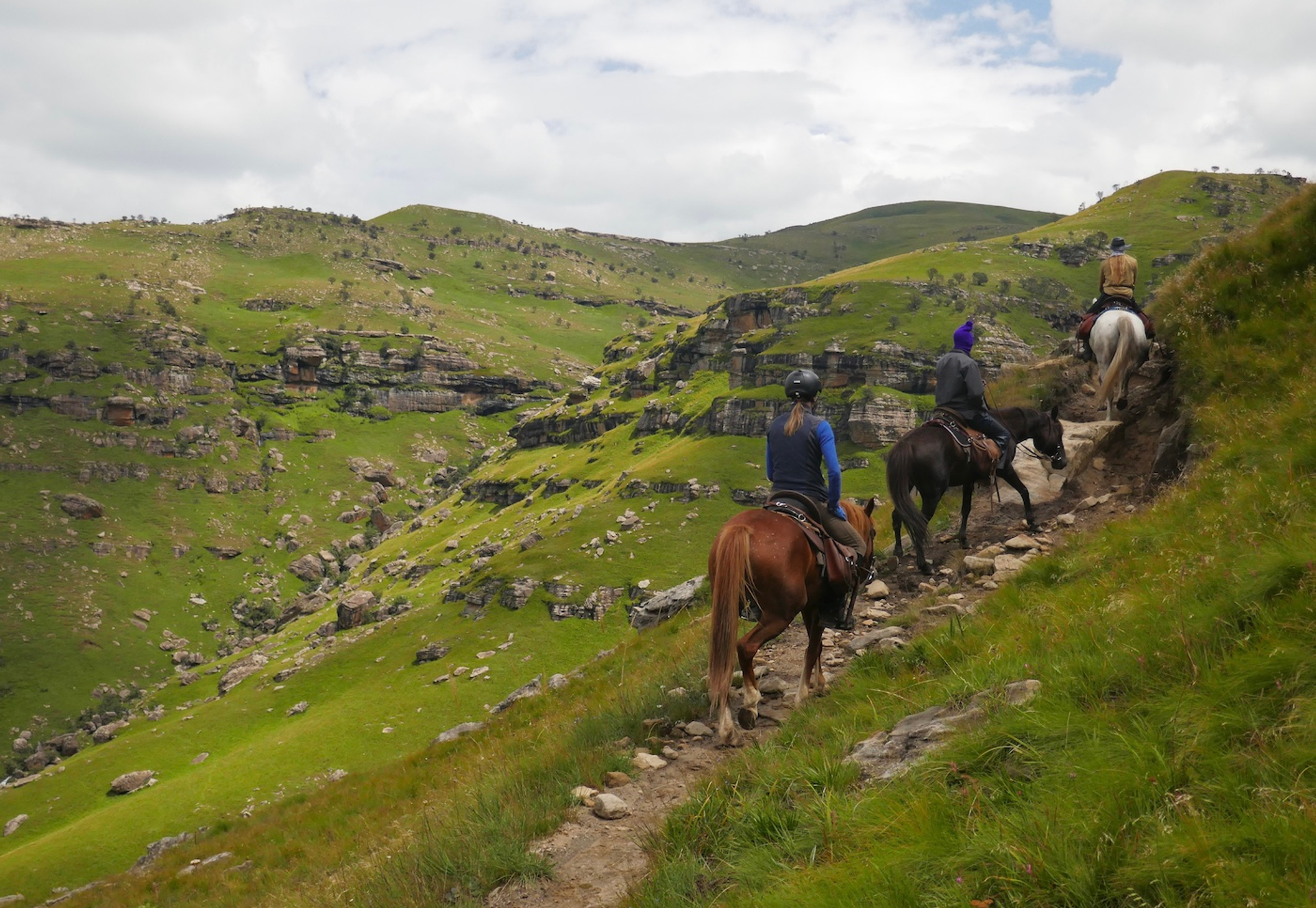 85E778C9-DA4A-45C8-97BD-1E286060CD48-1706188618