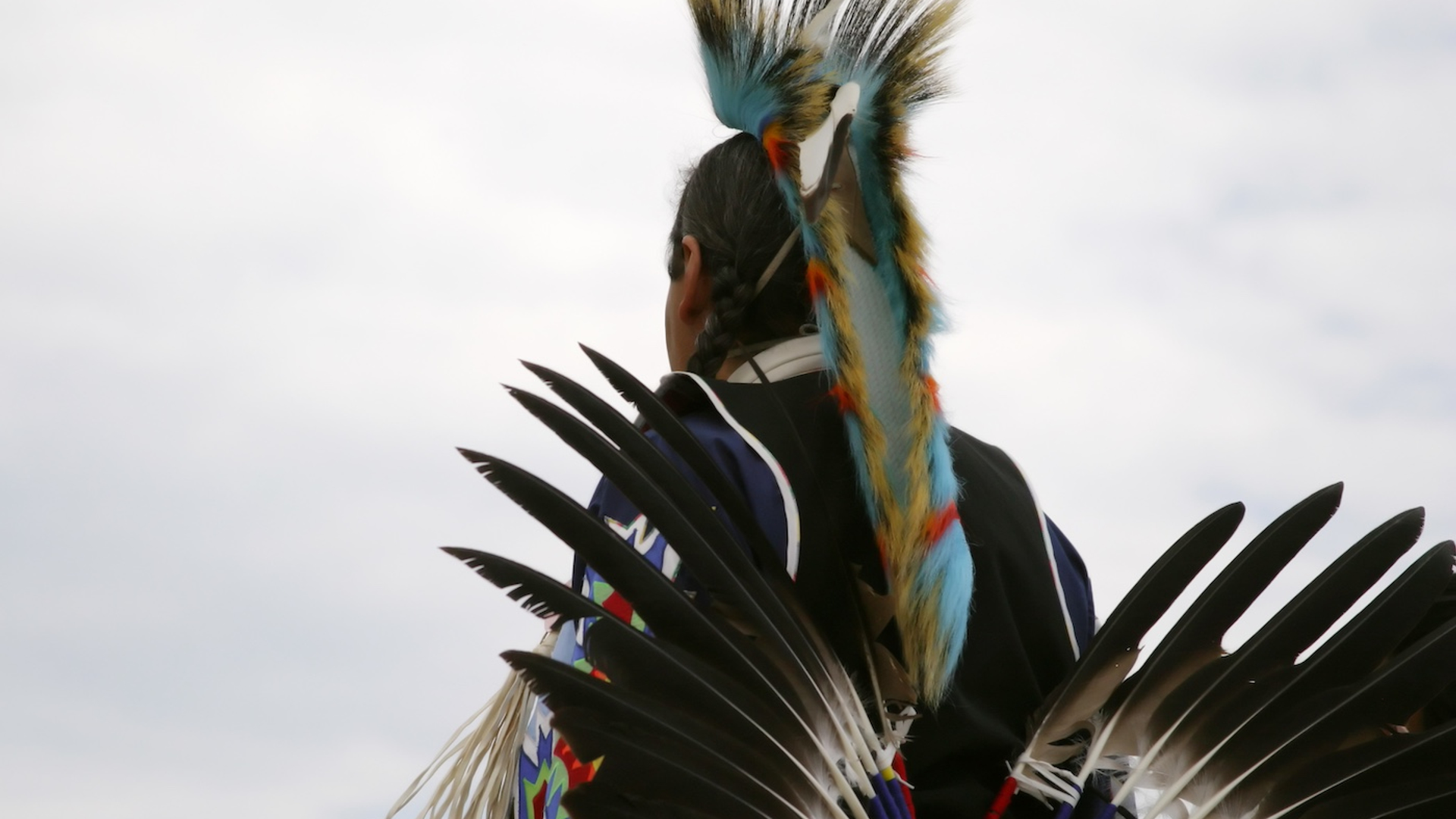 shutterstock_3744433-1740052311