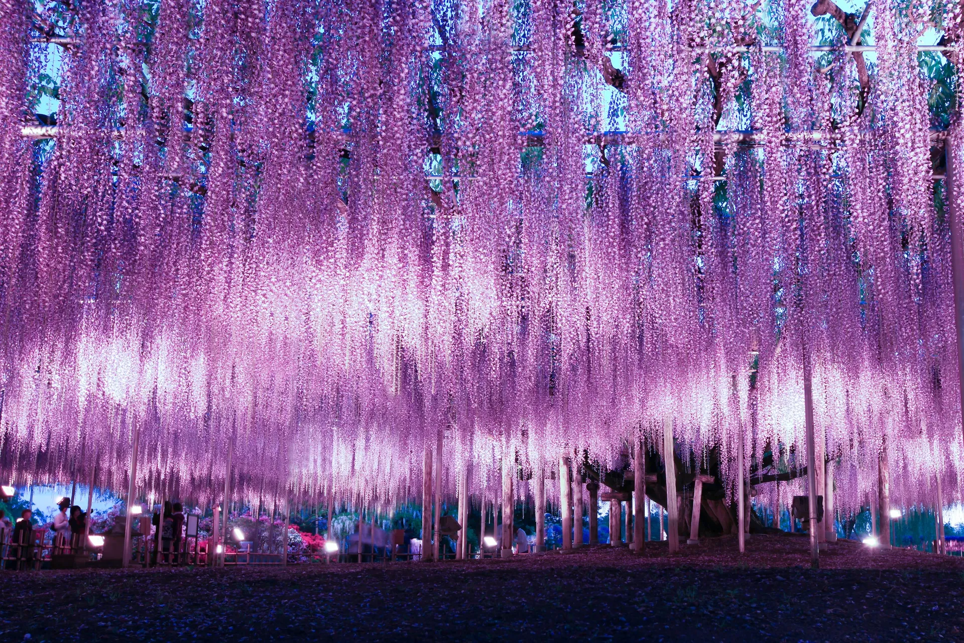 shutterstock_1189485169-1671910599