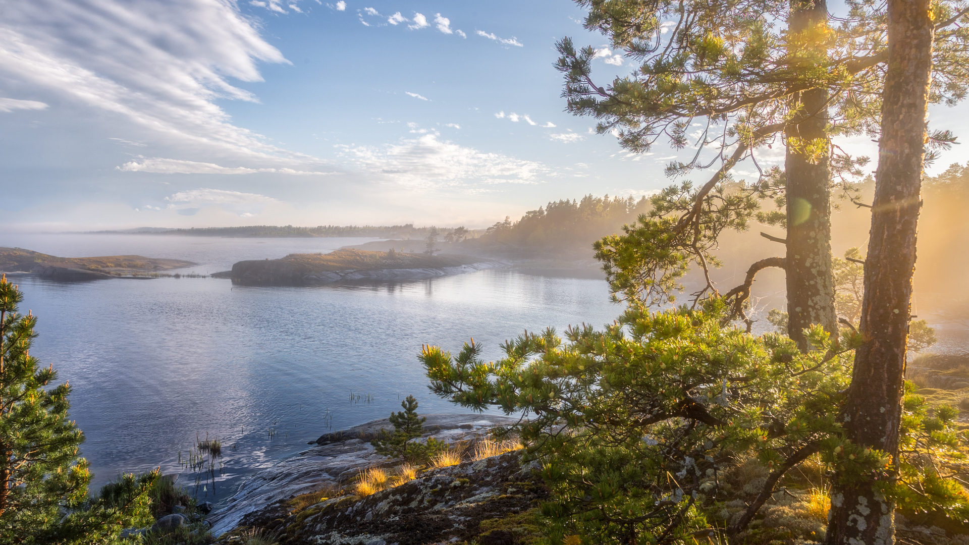 27100d36-f5fd-4150-9ed7-8f3a5ef3f474-1605106647