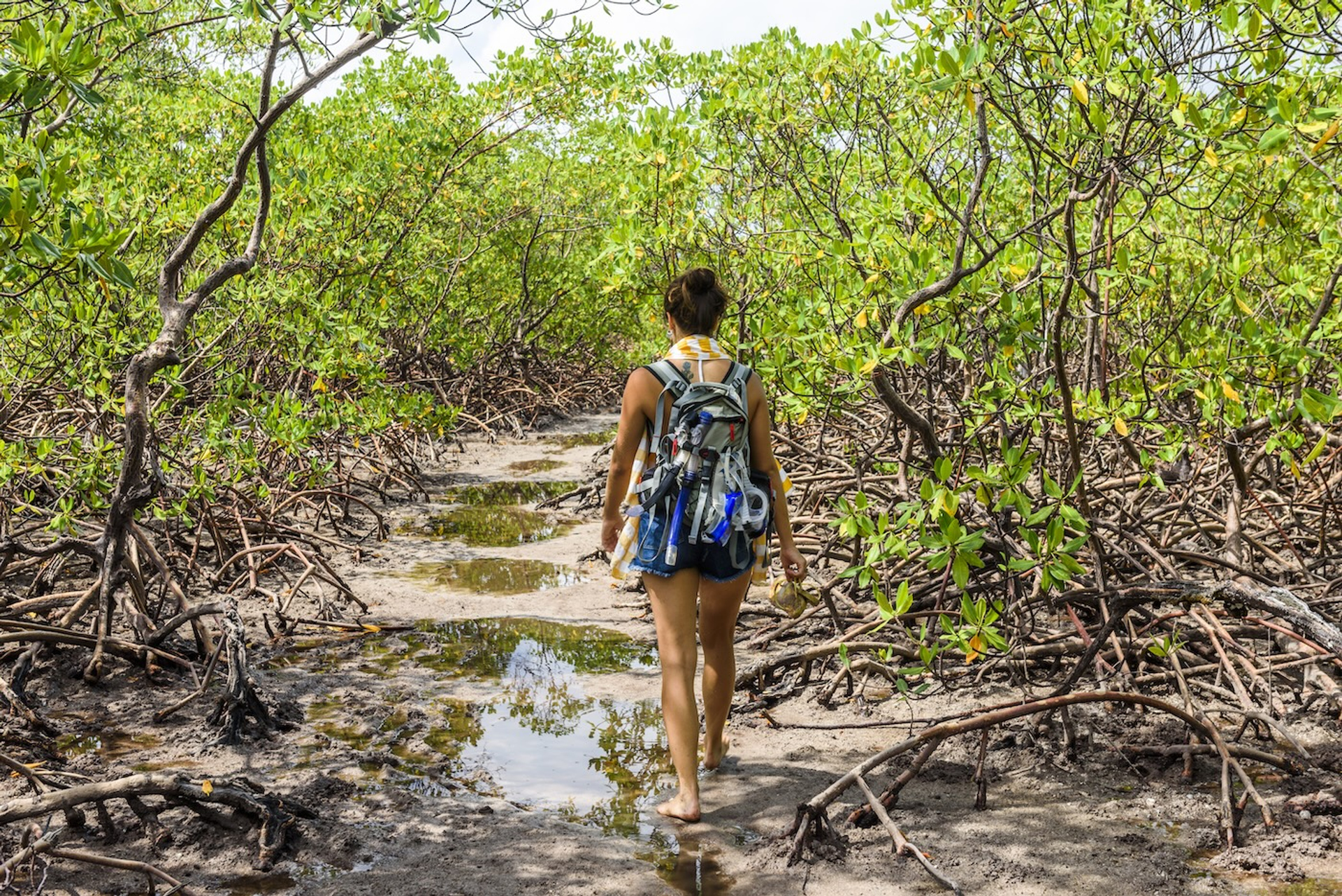 vitormarigo_-1763567318