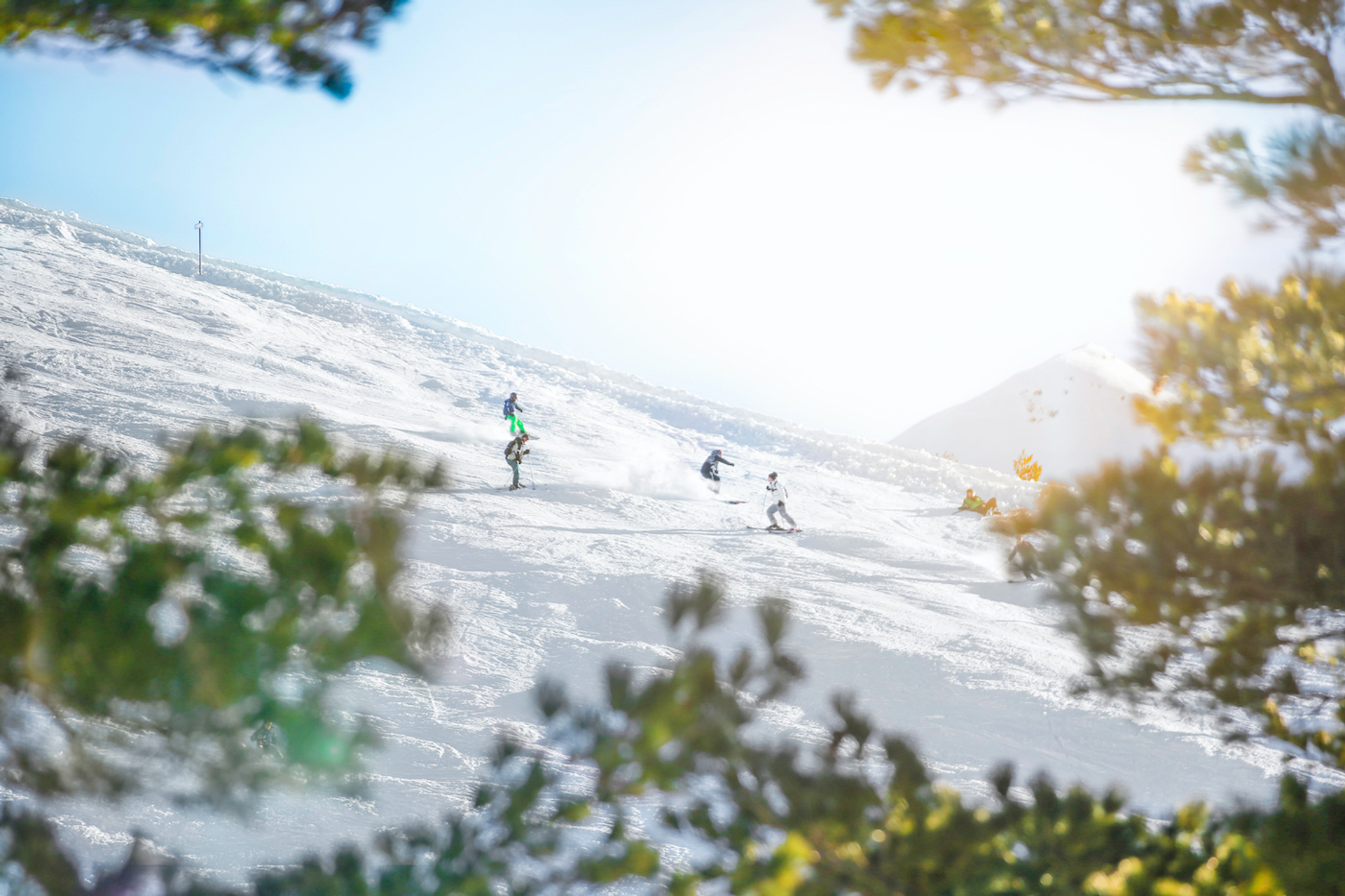 shutterstock_1349111570-1639147049