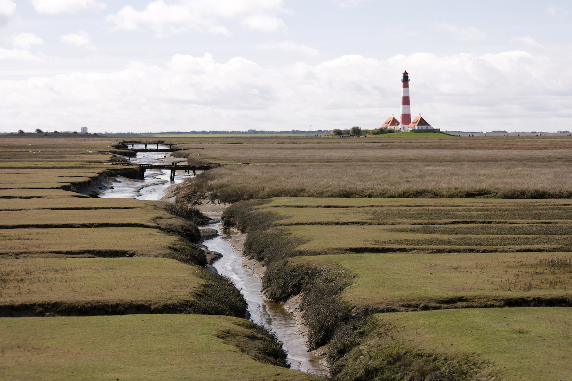 shutterstock_632024015-1686809987