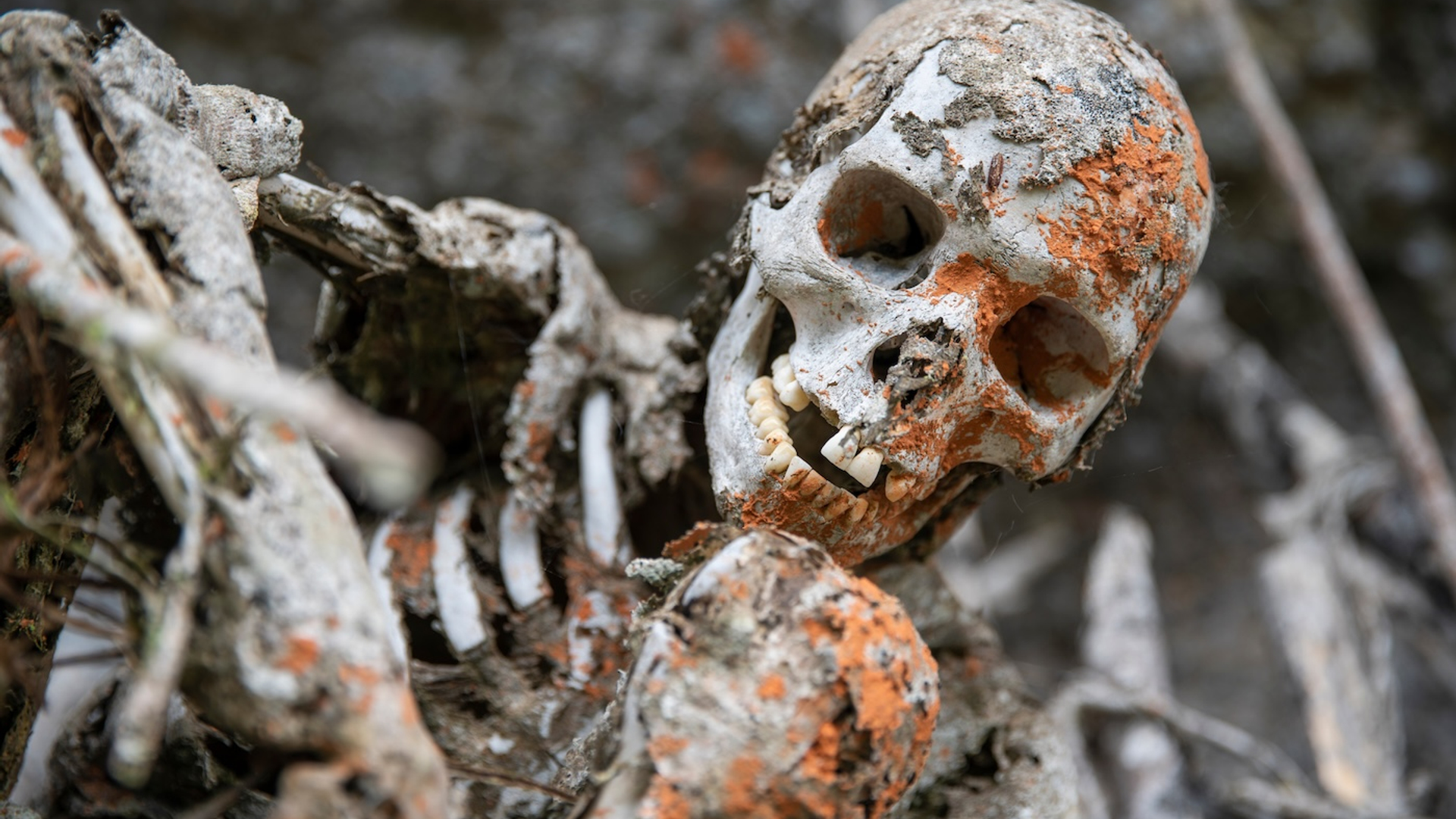 Robbie_Fatt-1732631974