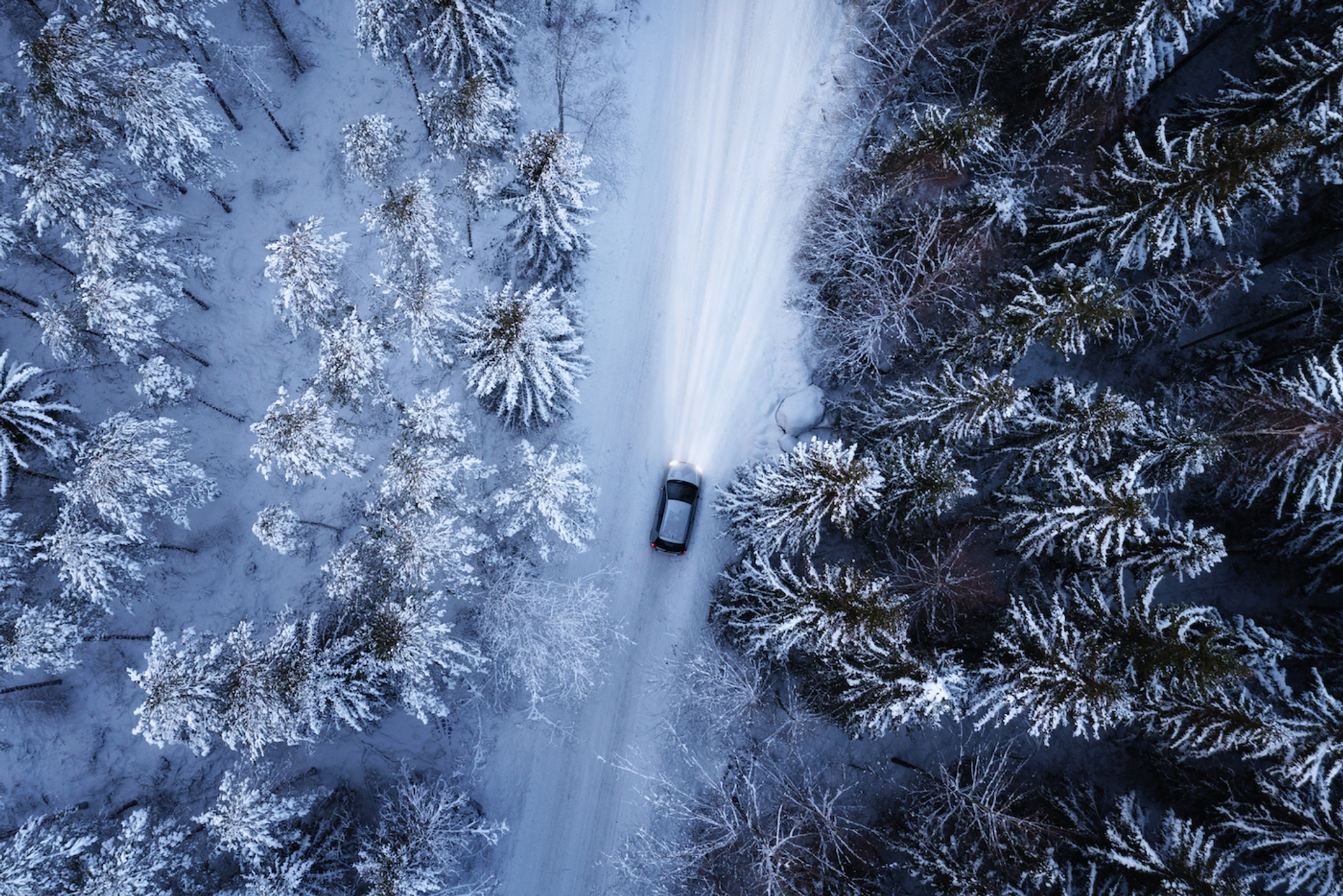 Raland___Shutterstock.com-1701698021