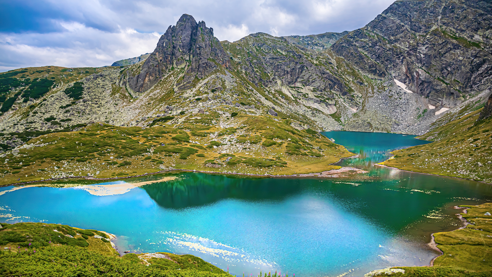 shutterstock-1636733635