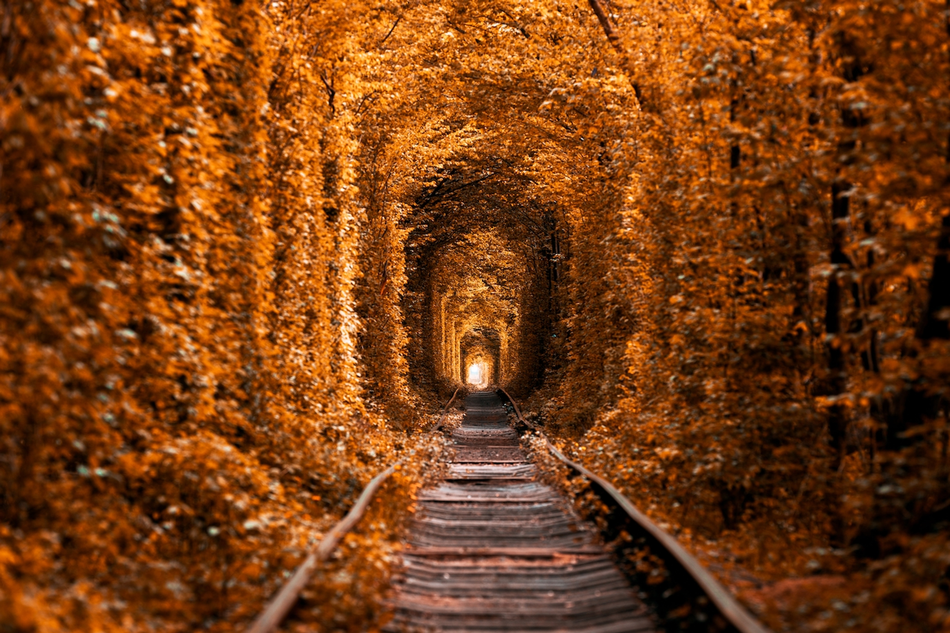 Ruslan_Ivantsov_2-1641907604