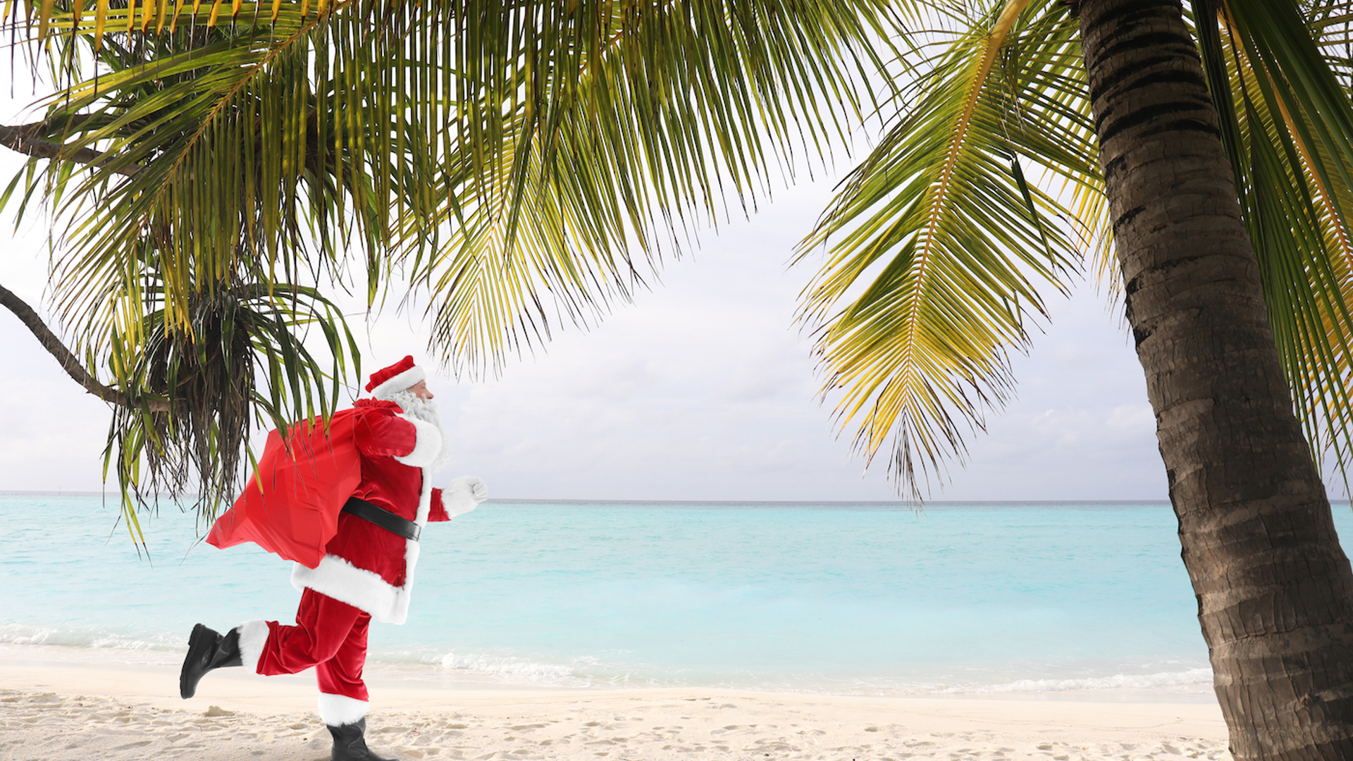 shutterstock_674407687-1702912117