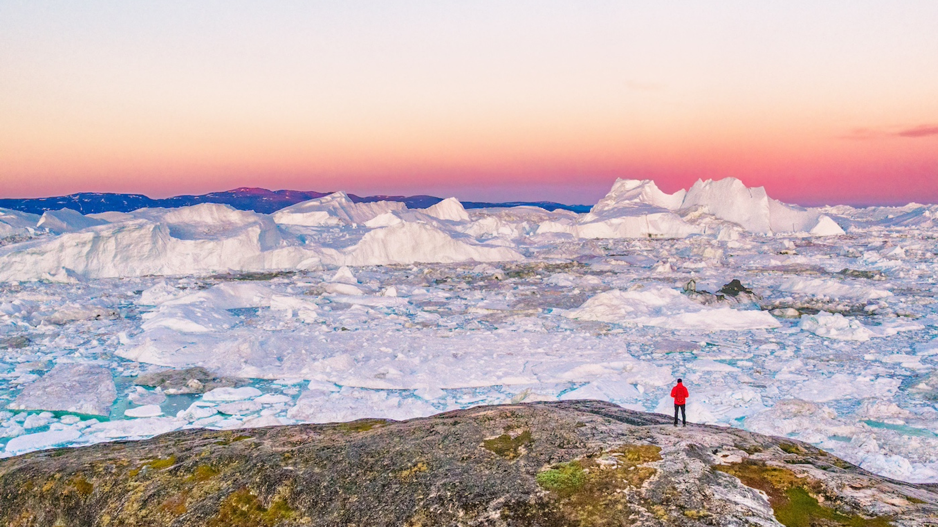 shutterstock_1049046272-1741699250