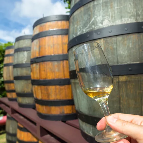 Drankorgels opgelet: op Barbados vind je de oudste rumfabriek ter wereld