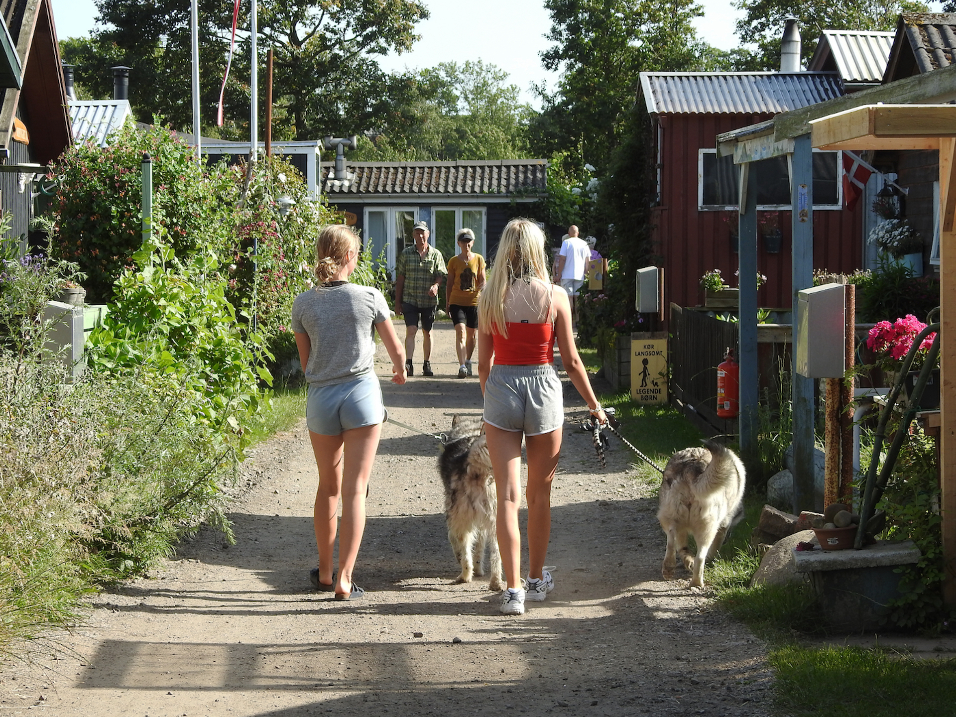 shutterstock_1437955577-1695977232