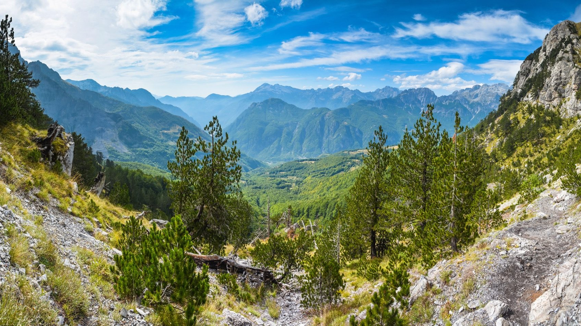 bb8e8a8d-3922-4e20-9b04-7355553df037-1605104172