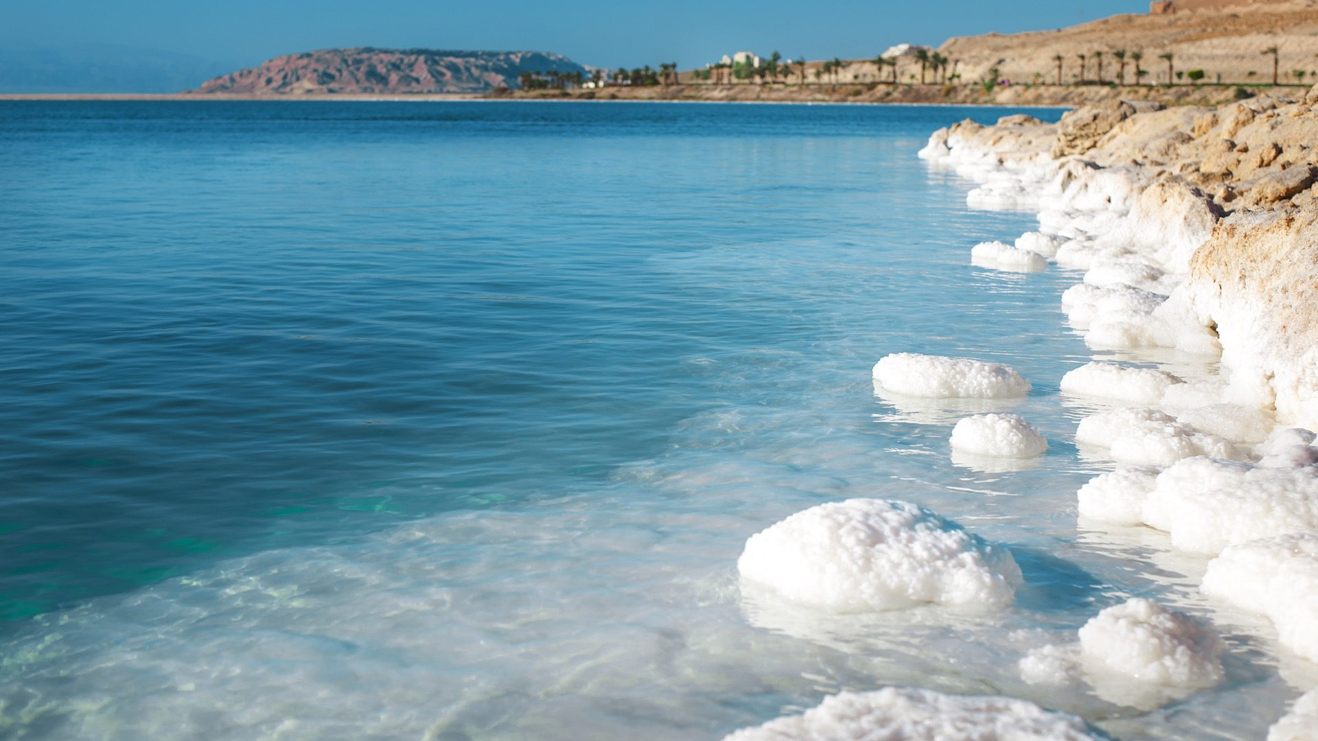 75699bd9-c693-4caf-b22c-ac4ae5b4f9ec-1605101506