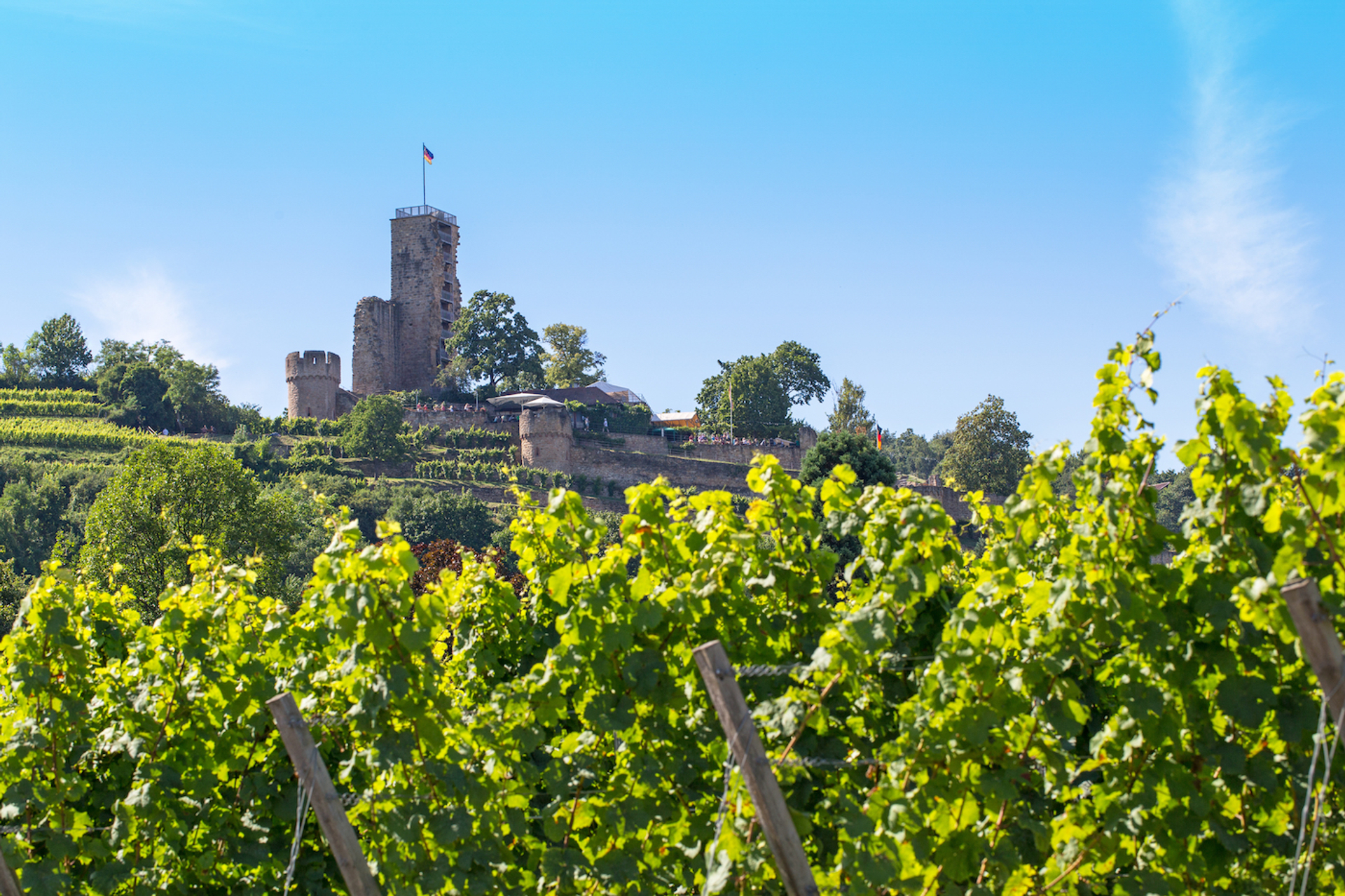 shutterstock_466265558-1644593050