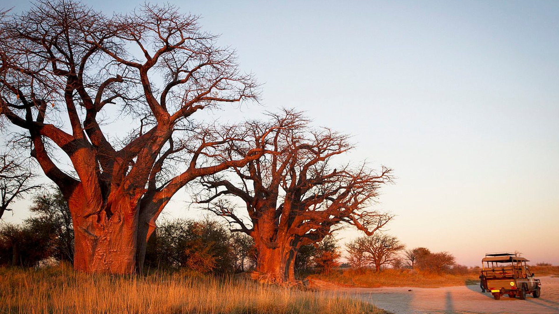 eadd6916-ac46-4393-b886-8bf5d64cb0e4-1605104827