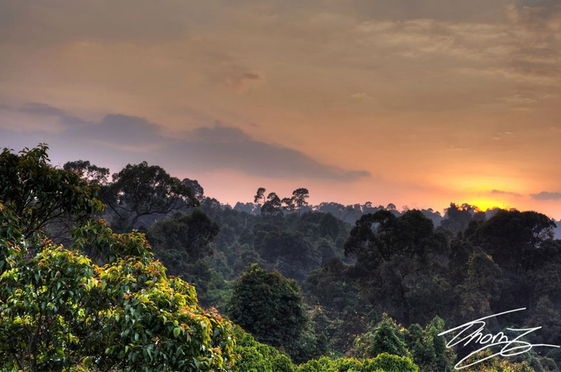 Zonsonderdag_in_onderzoeksgebied_copyright_Thom_Jetten-1655383033