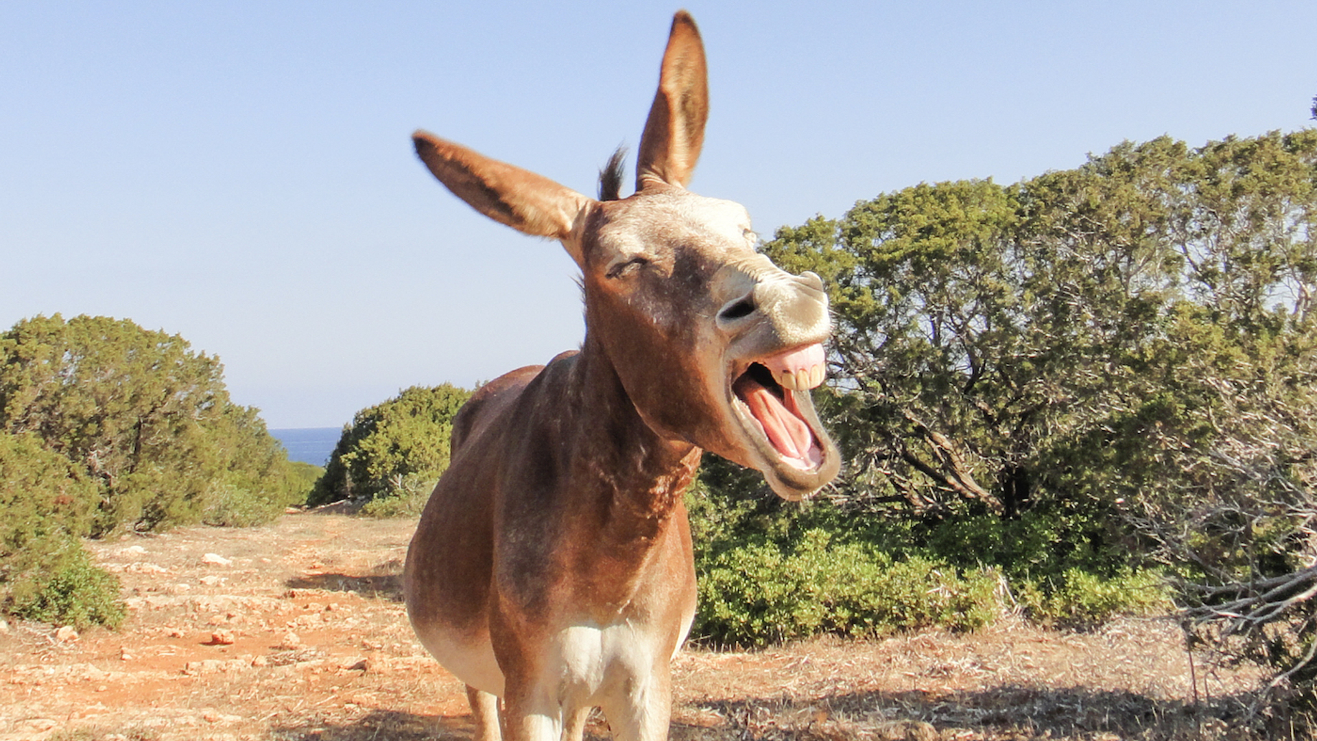 shutterstock_384331075-1688642566