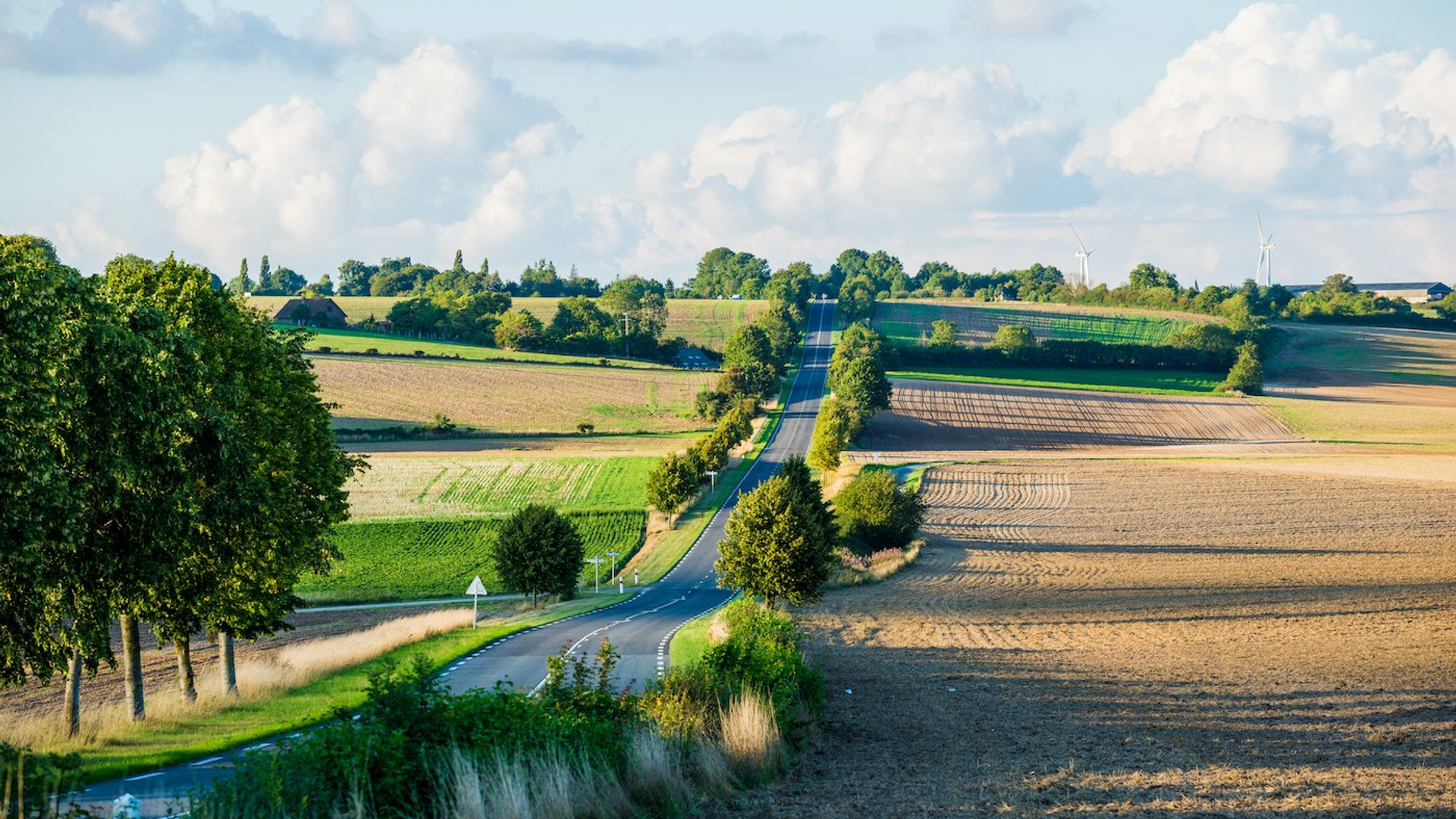 8c4f680c-eb21-4e85-a371-2f0ad2f979ba-1606744603