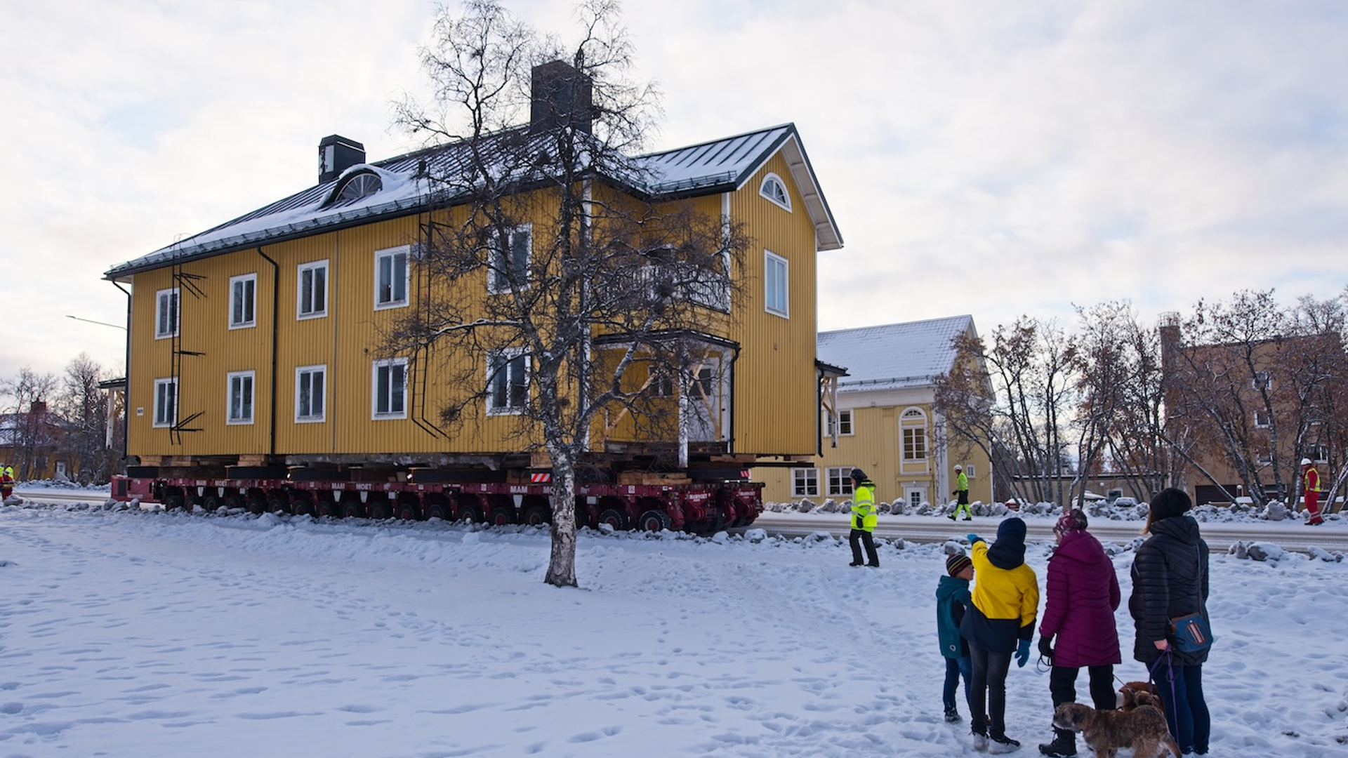 Mia_Stalnacke-1732030565