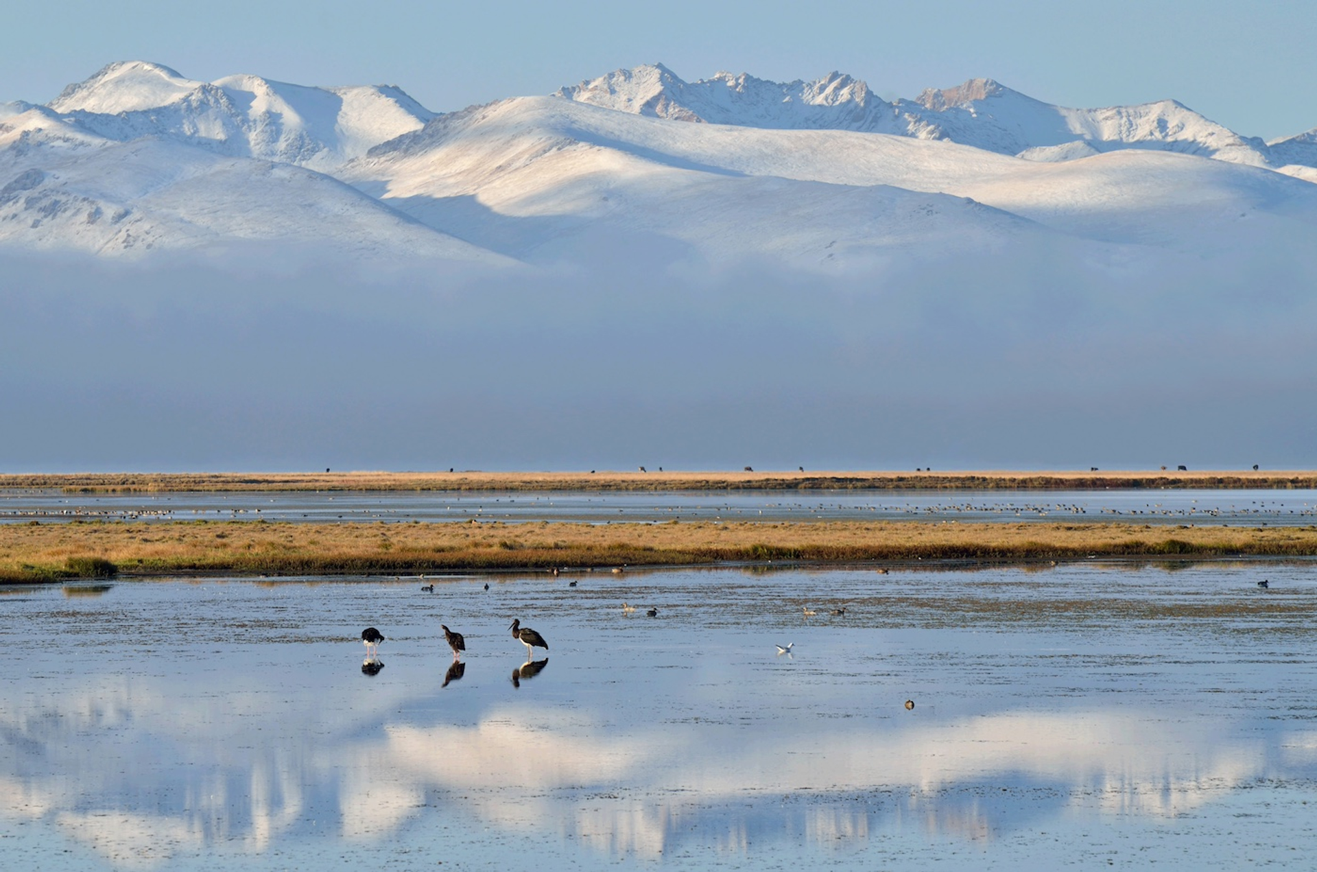 shutterstock_1228006657-1733496329