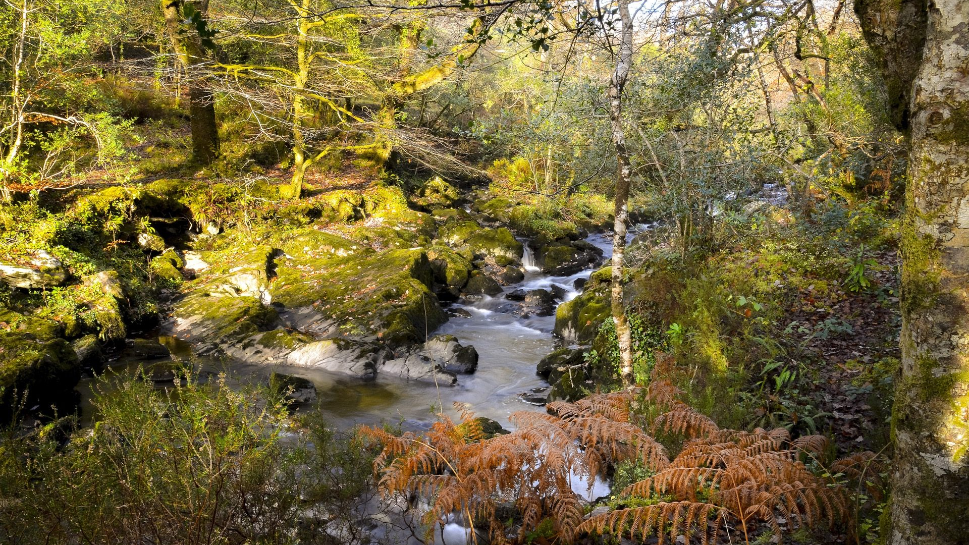 66903355-ccfa-4b04-9081-667a133d9ece-1605103798