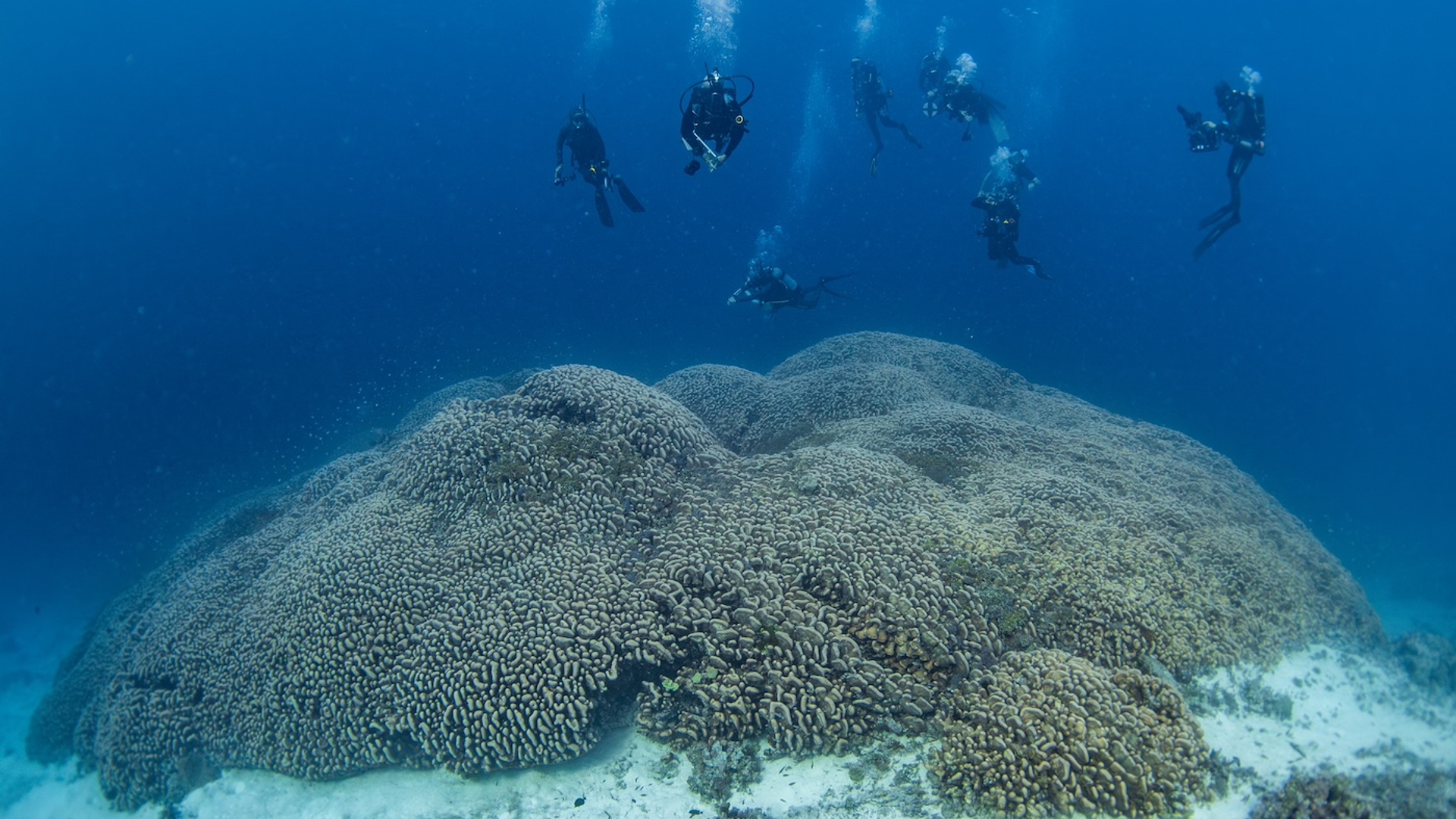 MSF_2796-Mejorado-NRNat_Geographic-1732613564