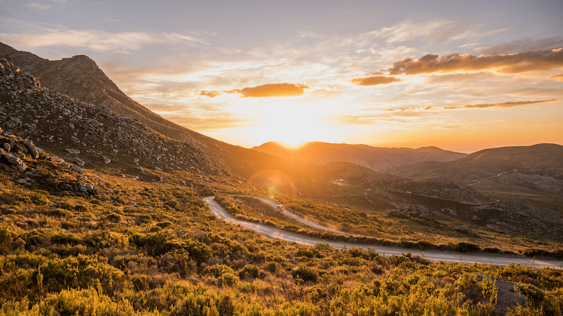 Arnold.Petersen___Shutterstock.com-1682085450