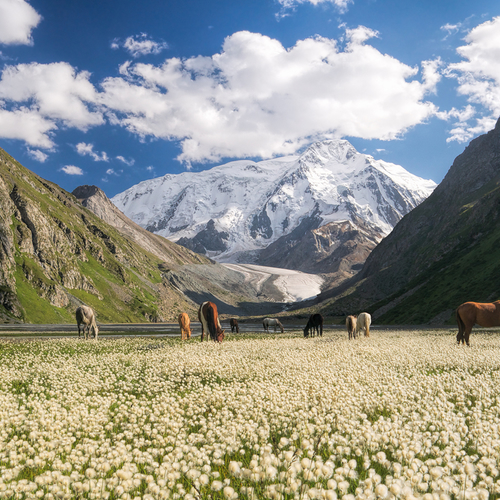 De adembenemend mooie leegtes van Kirgistan