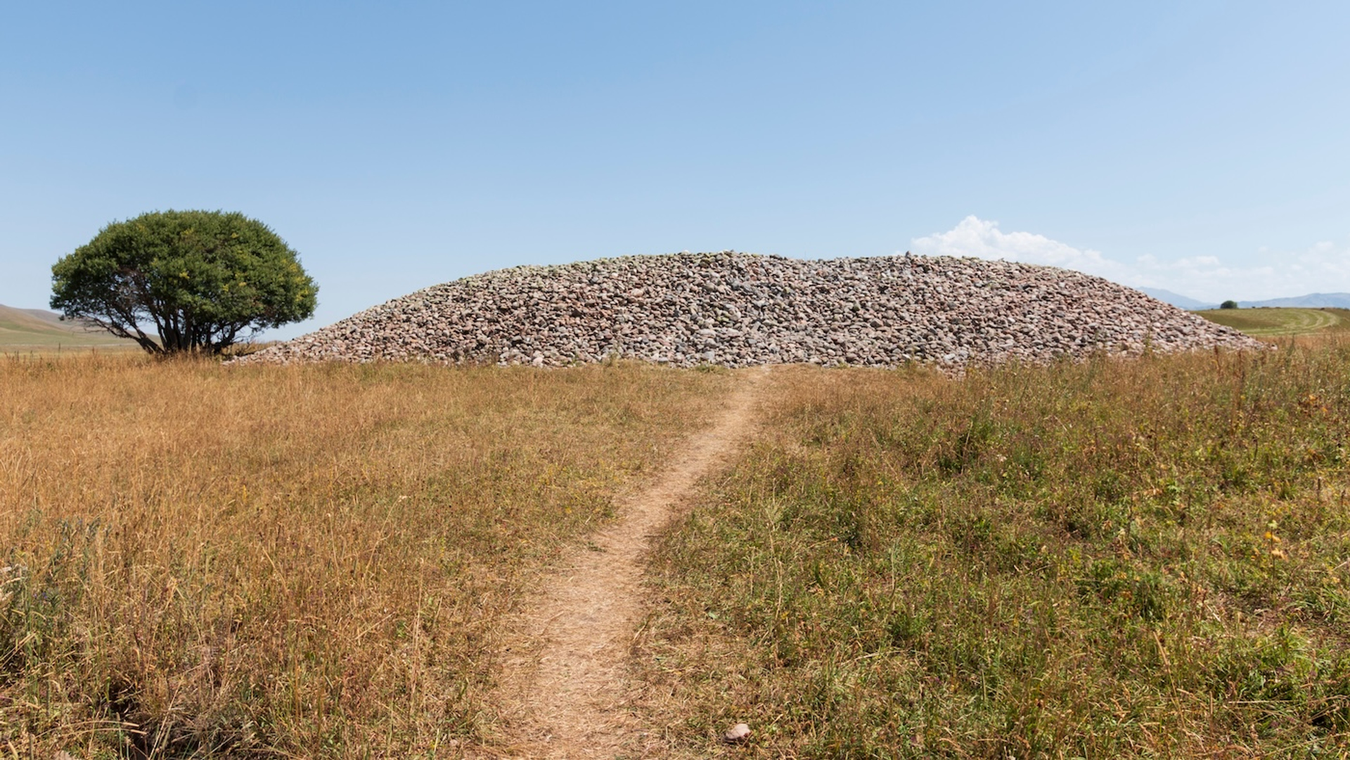 Fabio_Nodari-1733506174