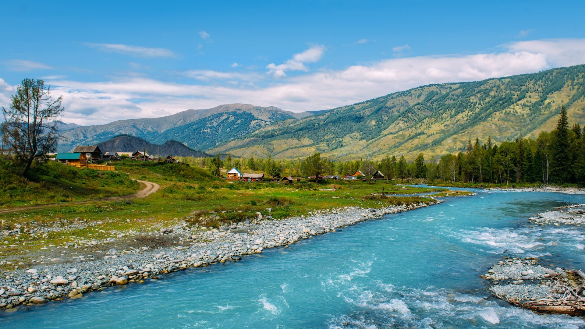 f4cee0ea-b50e-4df3-8a6c-11ccd89b7d69-1605091267