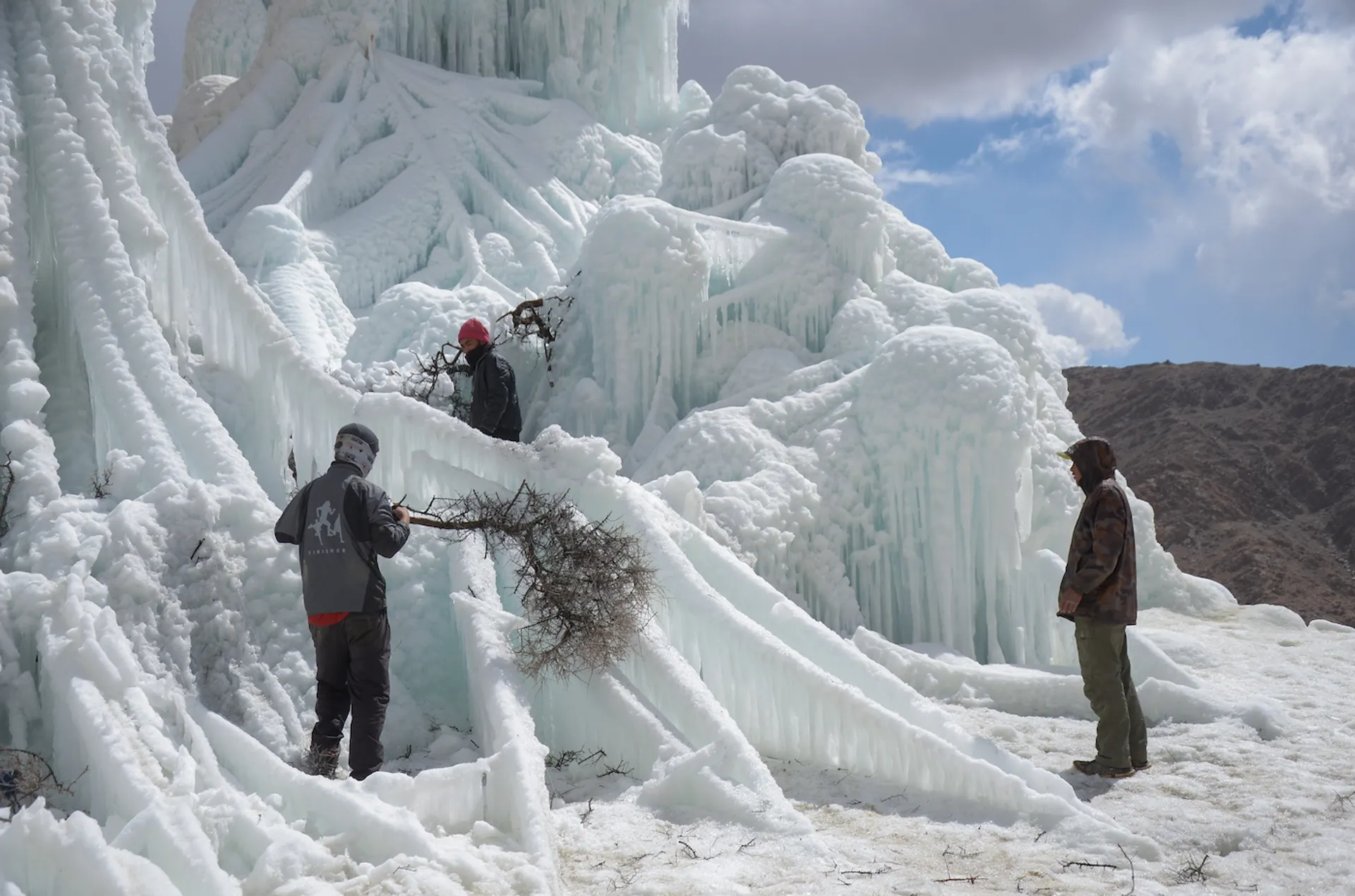 shutterstock_1141861469-1682006006