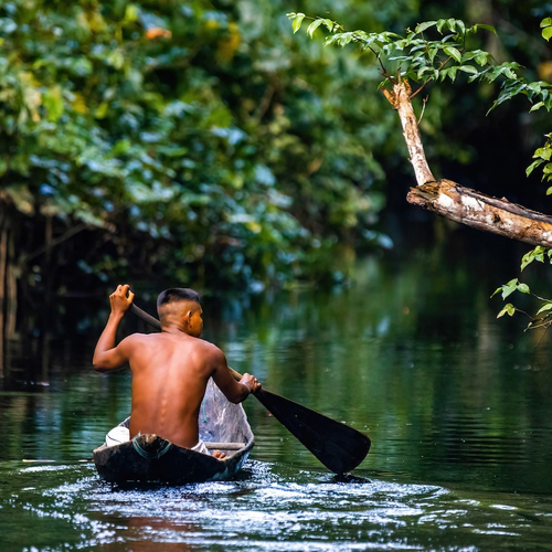 Op avontuur in het ongerepte regenwoud van Frans-Guyana