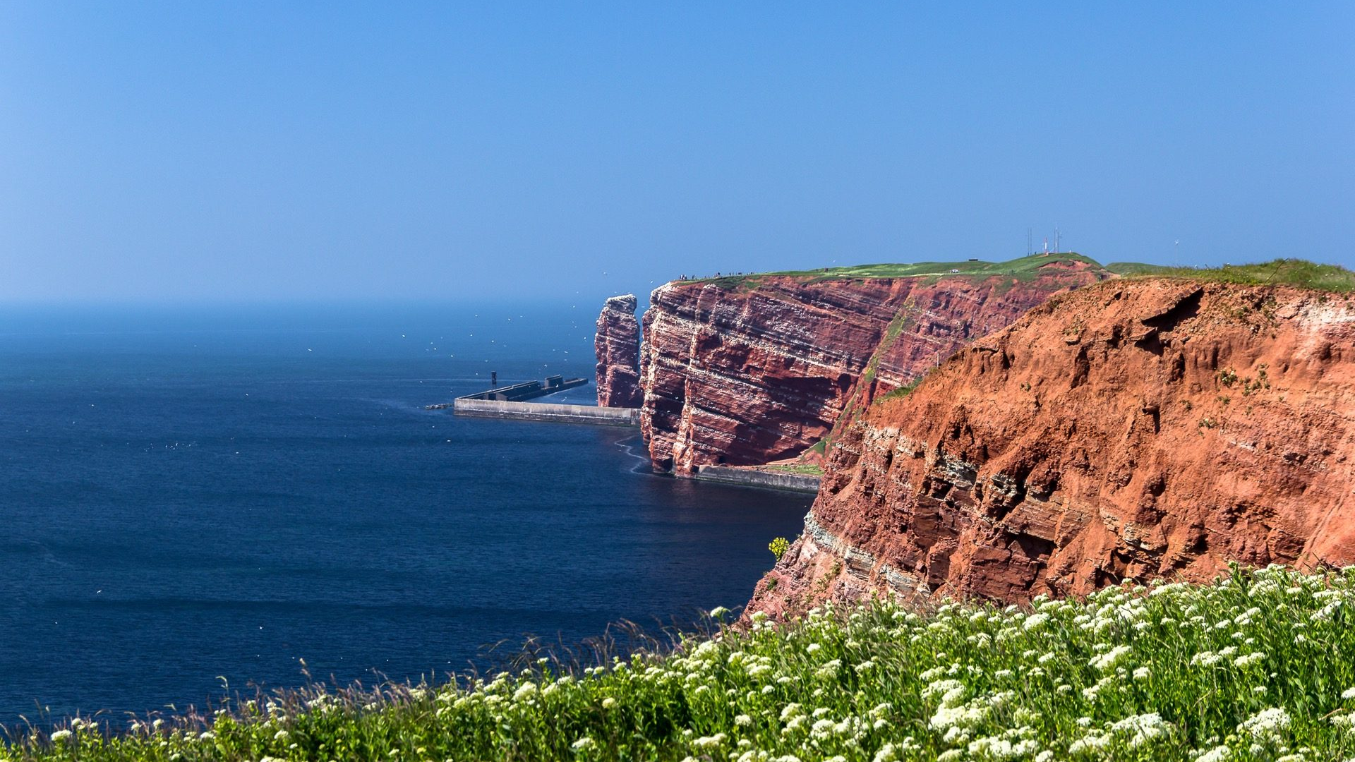 5b407d7f-62ba-4c2e-bc49-02299ad72f0e-1605090648