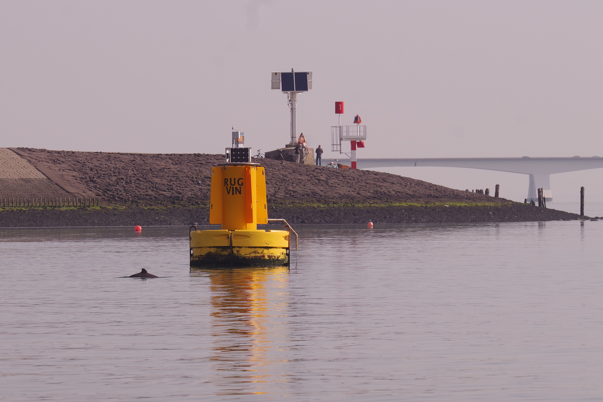 9._SB_met_bruinvis-1619601287