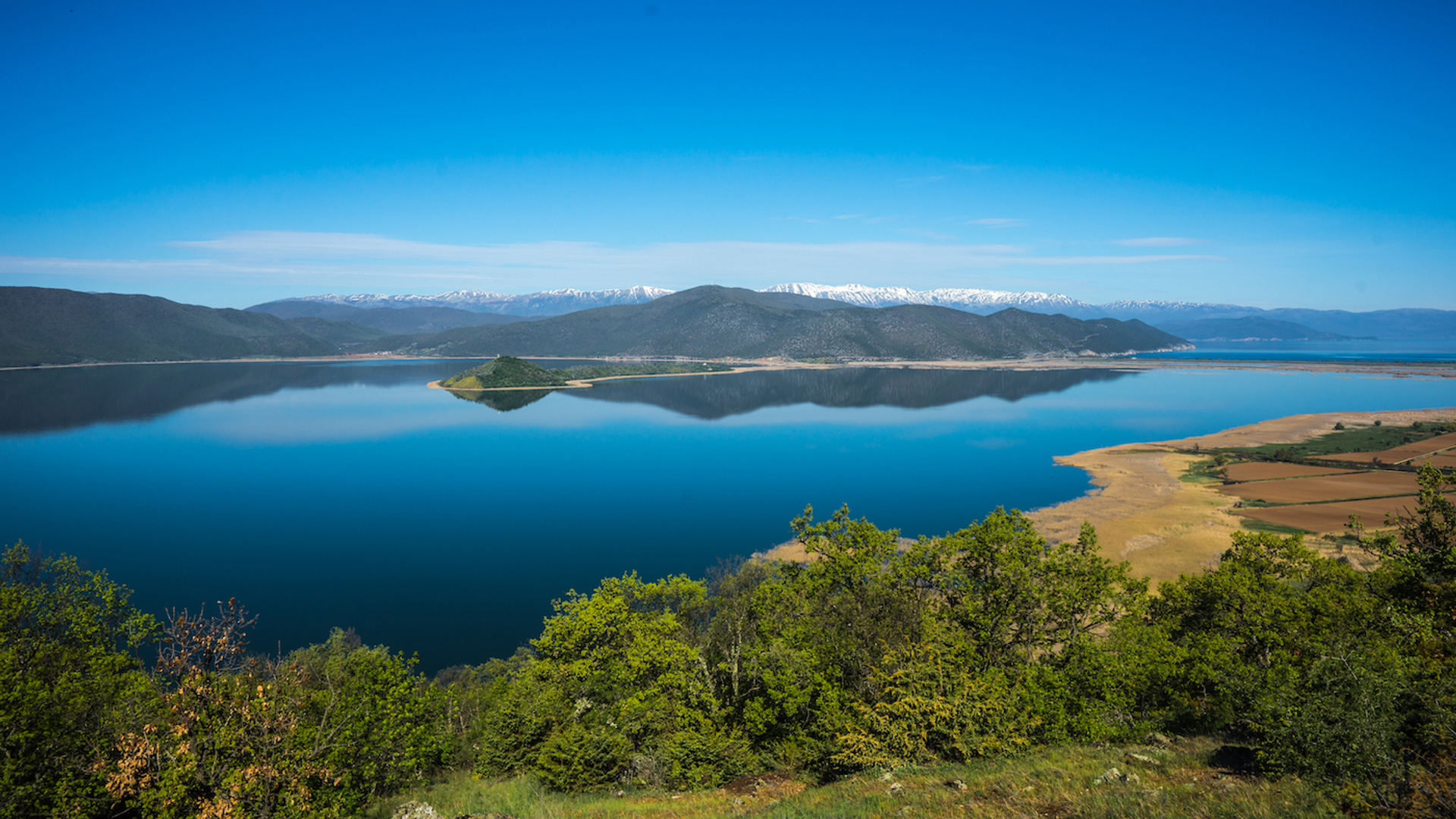 shutterstock_277188587-1643903596