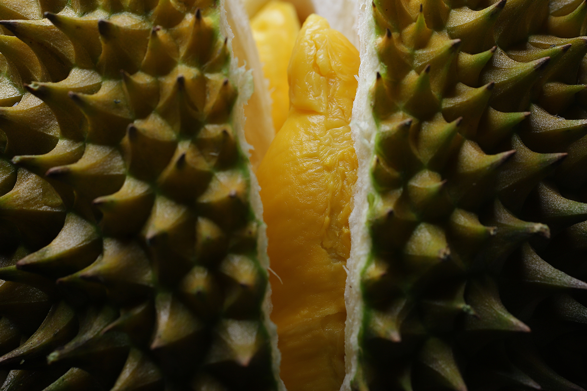 3OR_Durian_vruchtvlees_binnenkant-1667222846