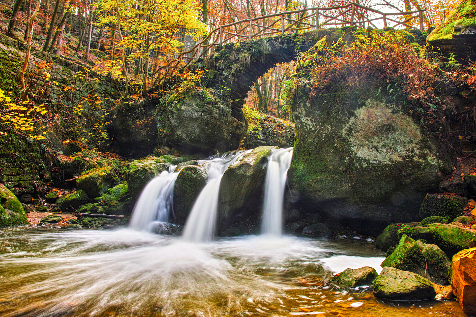 Ridinghood-1696492785