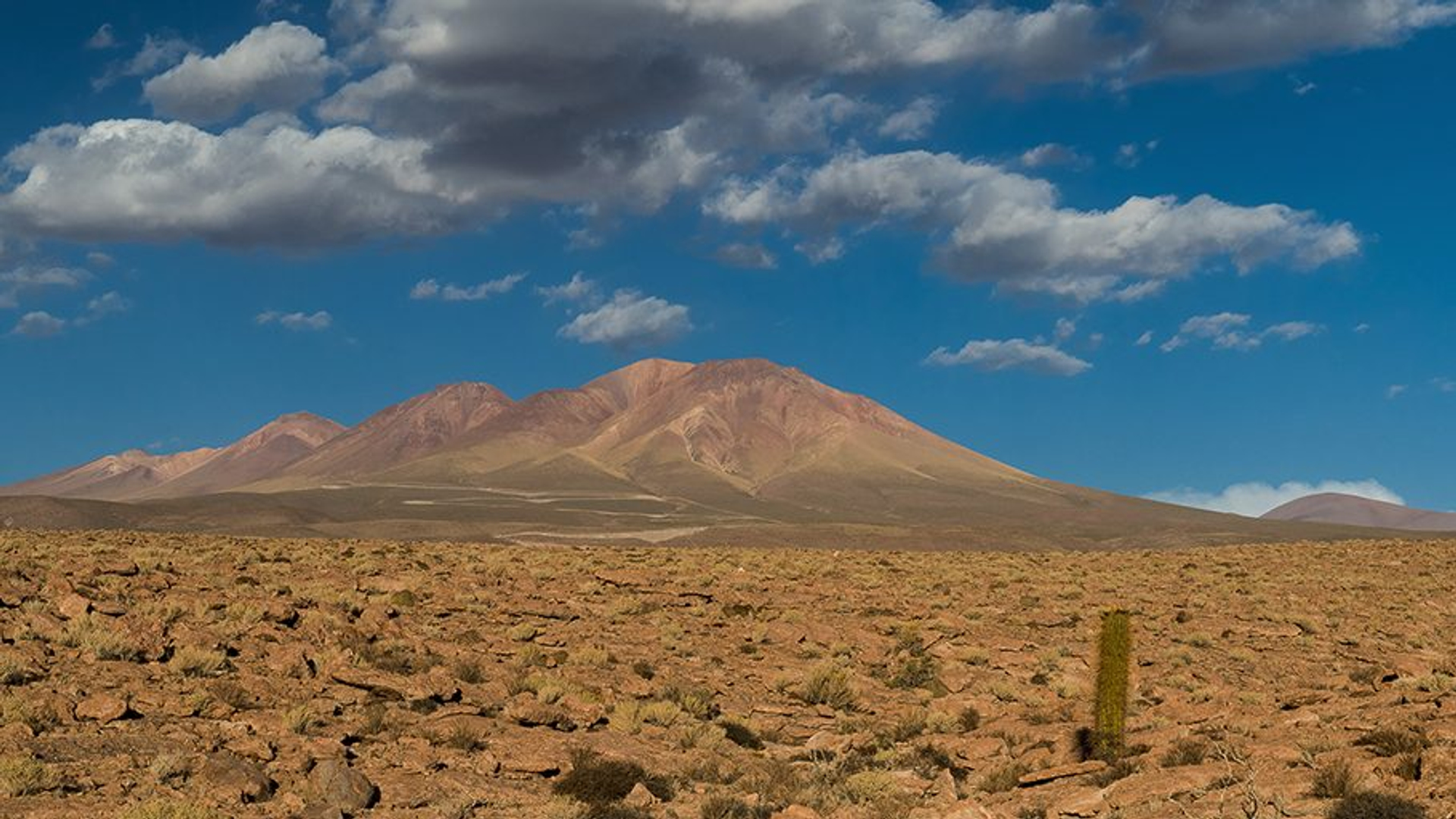 86b09616-b453-40f9-9edd-0deba1f2b88d-1605000691