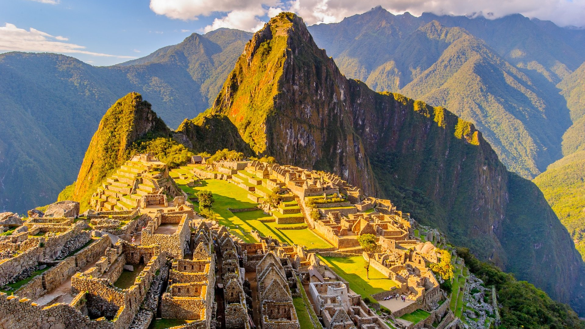 8c8caf0f-32ab-4dc8-a115-da534d933a6d-1605102533