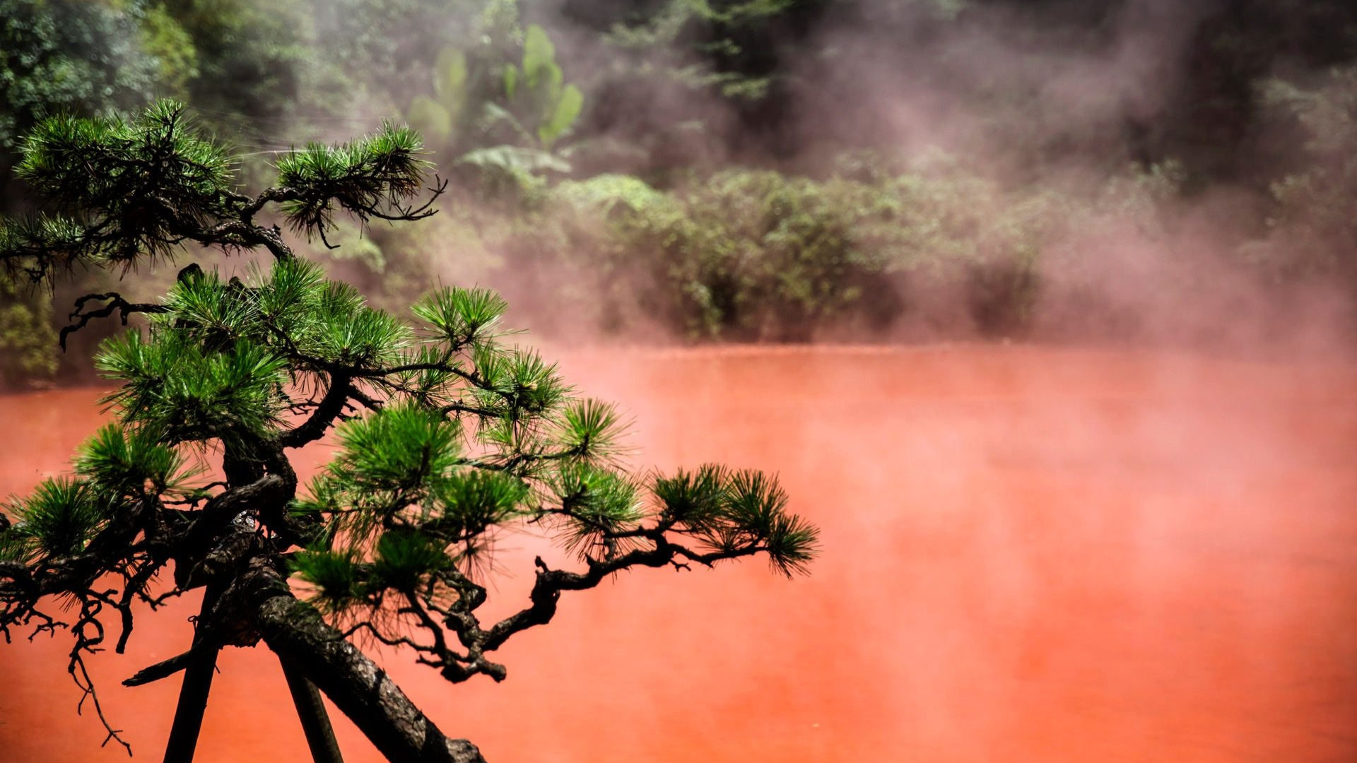 f9f9a5dc-6802-46f2-85c9-c95460924eb3-1605102812