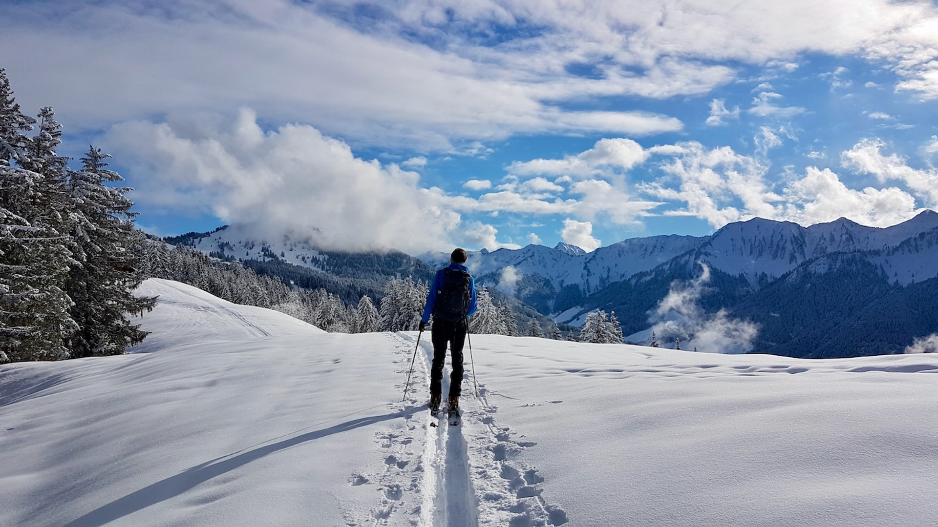 shutterstock_2048268623-1640180327