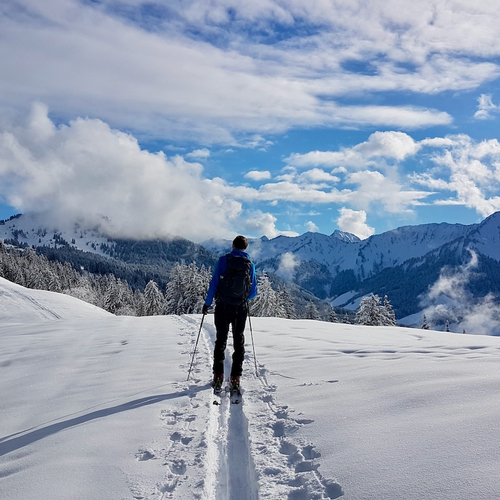 Oostenrijk kondigt zeer strenge inreisregels aan voor niet-geboosterde Nederlanders
