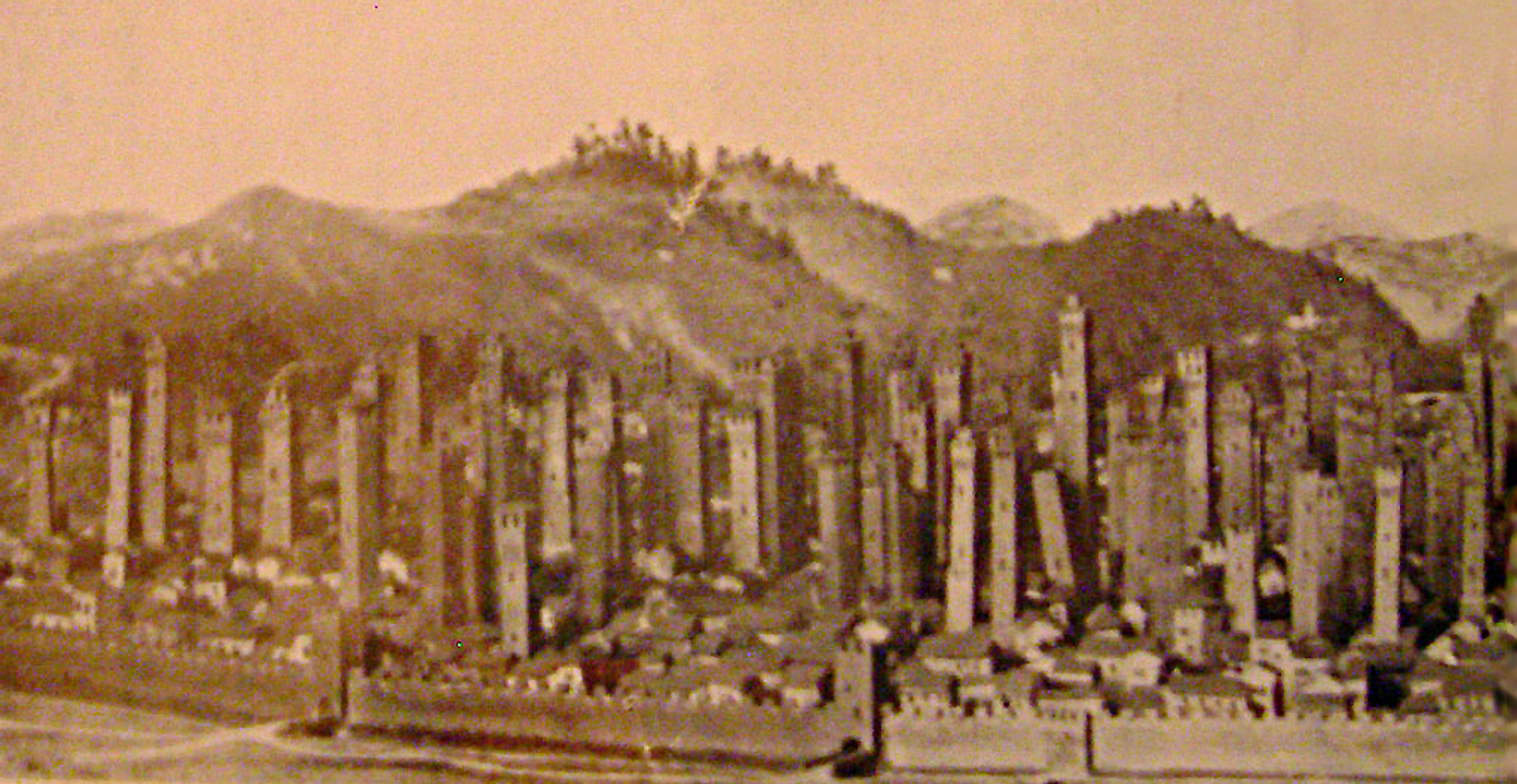 Angelo_Finelli__Public_domain__via_Wikimedia_Commons-1716380496