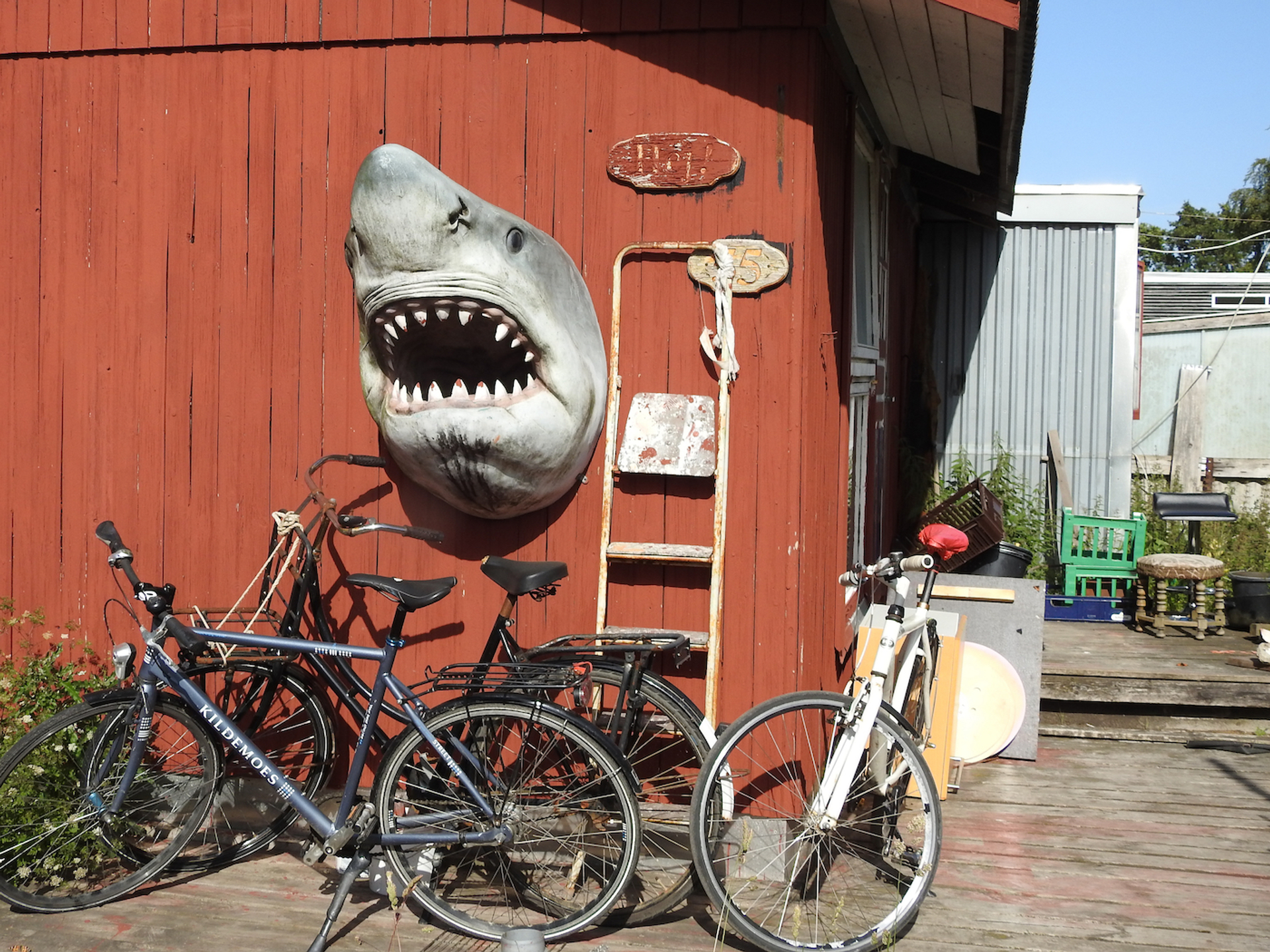 shutterstock_1438034990-1695976829